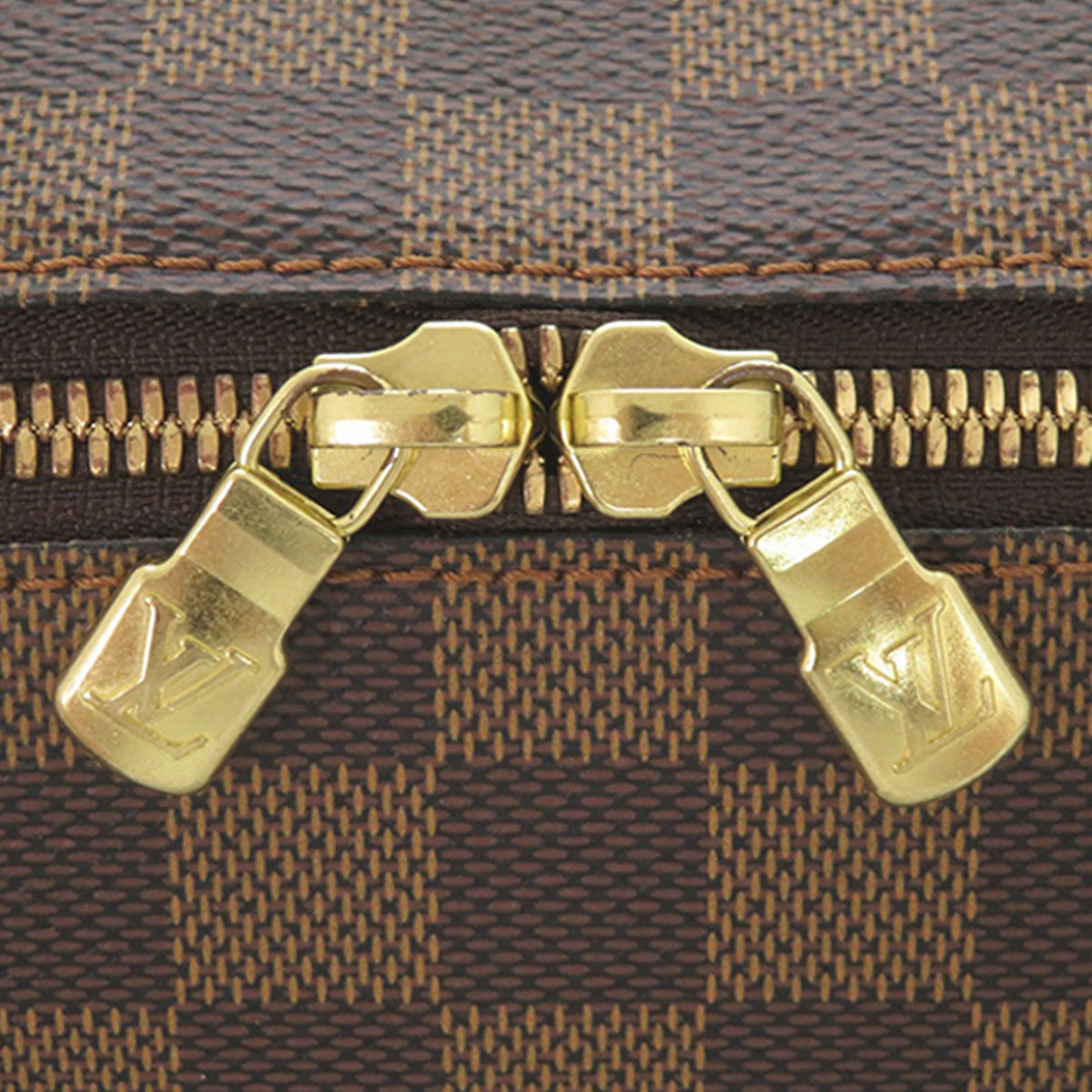 Louis Vuitton Damier Ebene Ribera MM