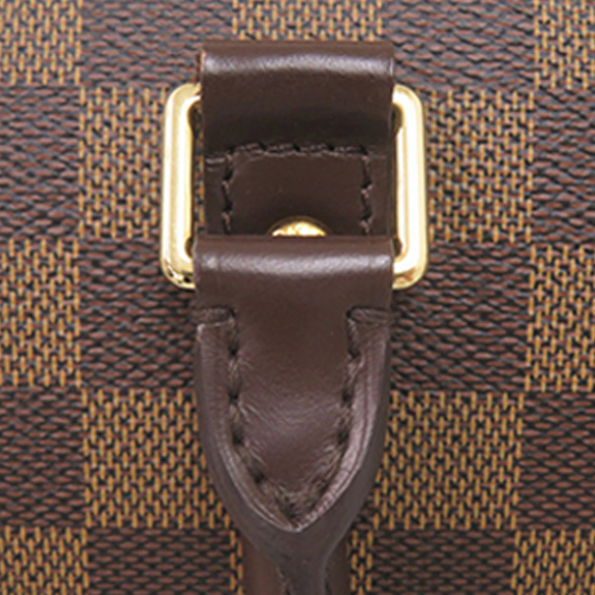 Louis Vuitton Damier Ebene Ribera MM