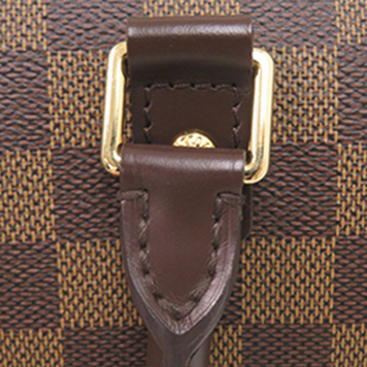 Louis Vuitton Damier Ebene Ribera MM