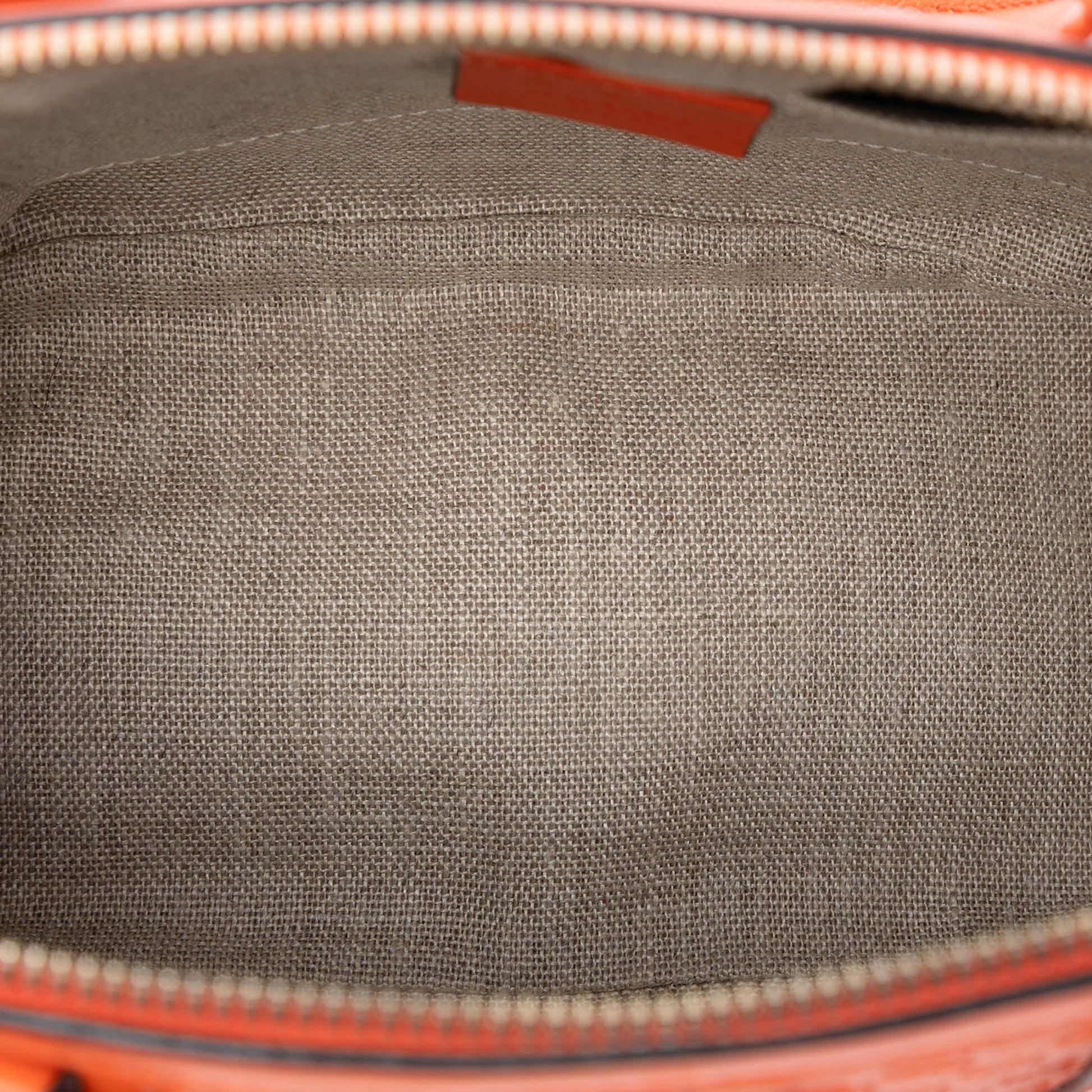 Mini Microguccissima Dome Satchel