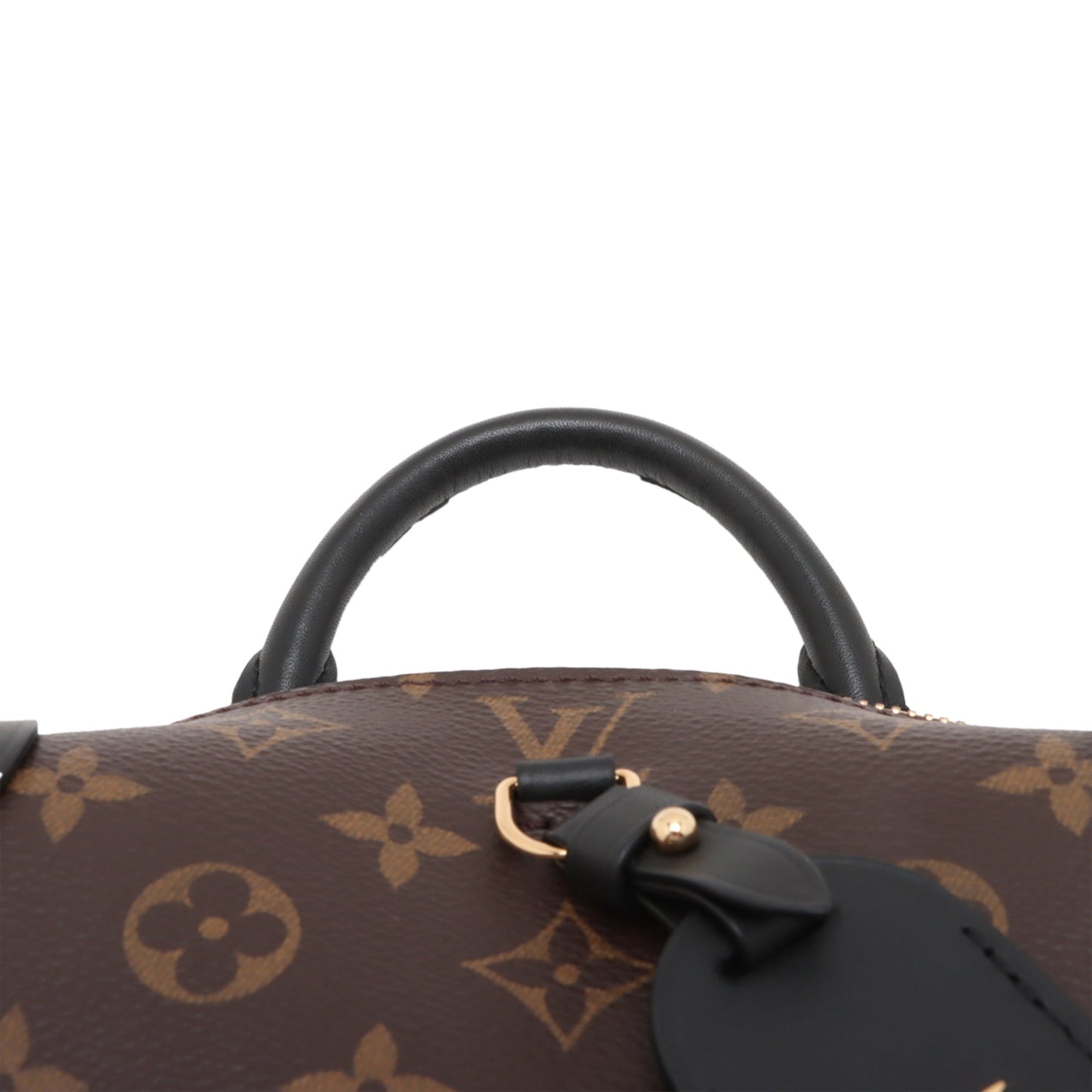 Louis Vuitton Monogram Petite Malle Souple