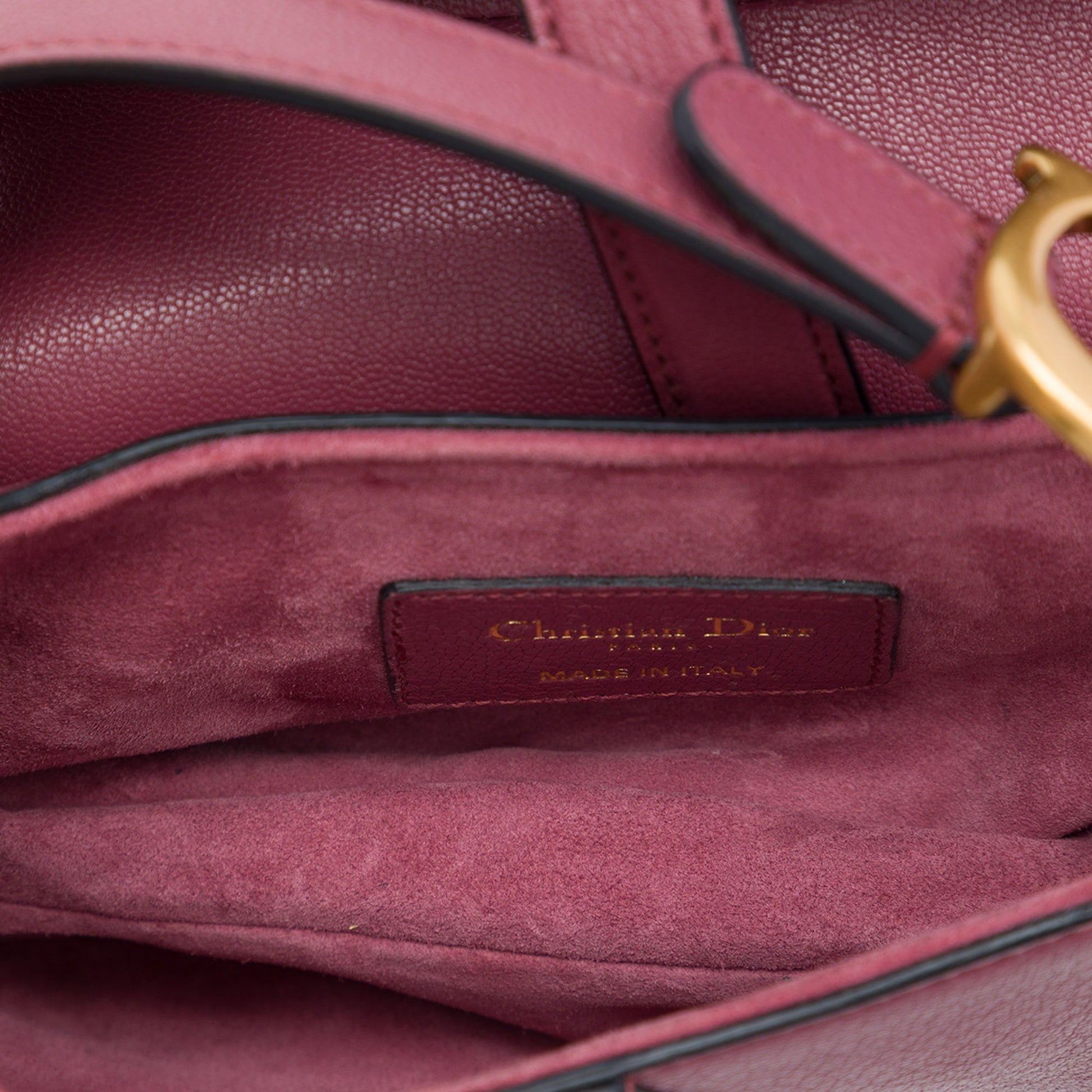 Dior Mini Goatskin Saddle Bag