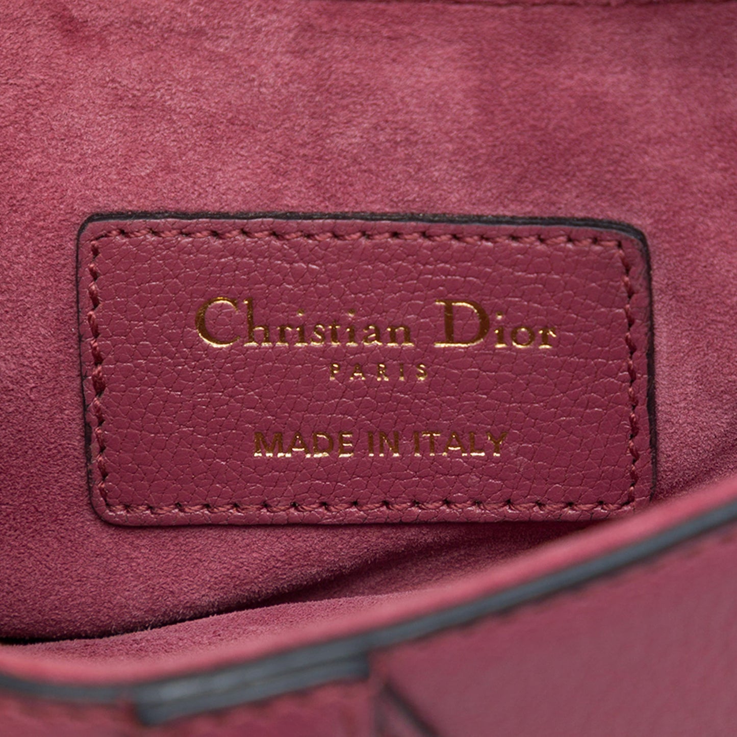 Dior Mini Goatskin Saddle Bag