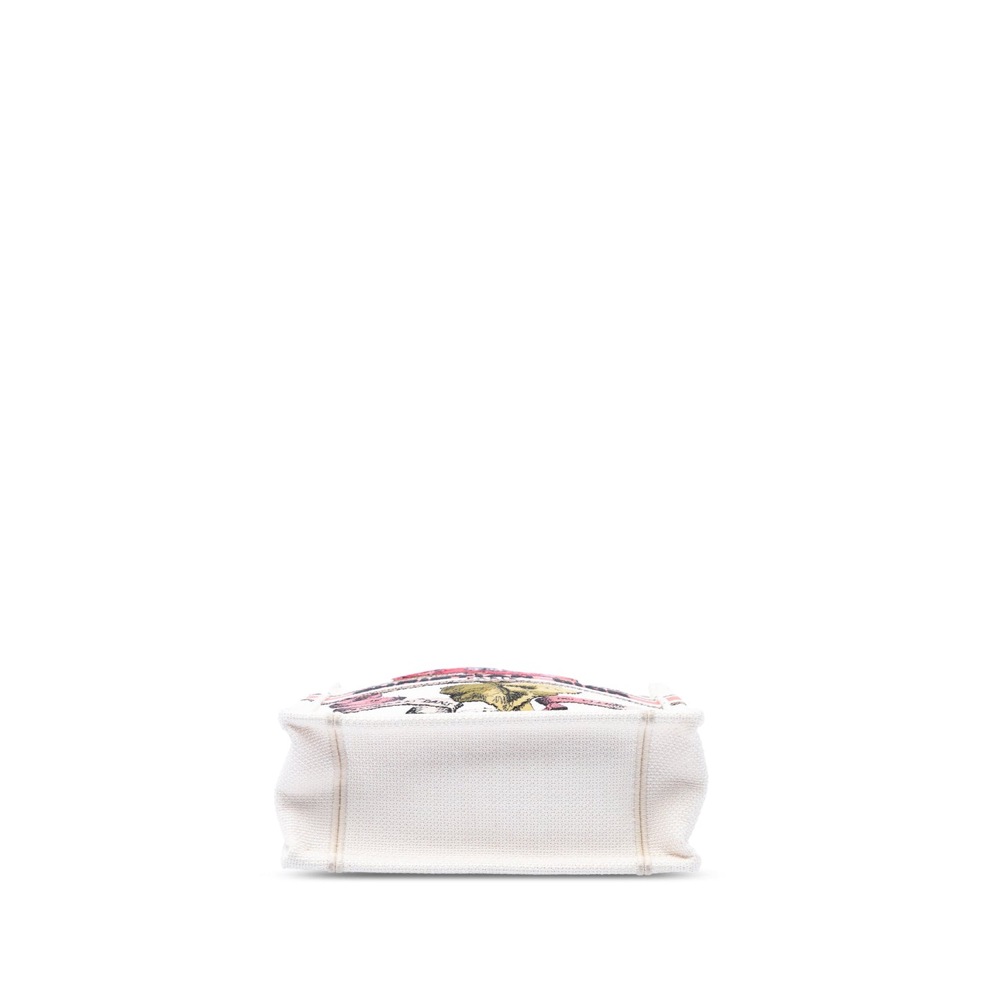 Dior Embroidered Canvas Fleurs Bibliques Vertical Book Tote