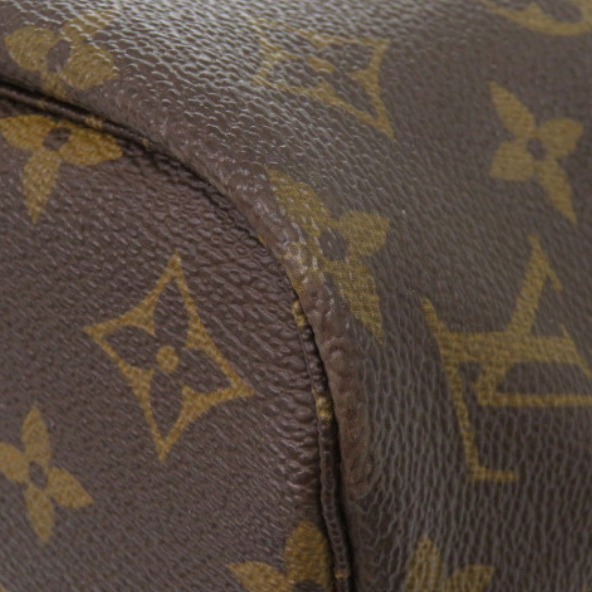 Louis Vuitton Monogram Neverfull PM