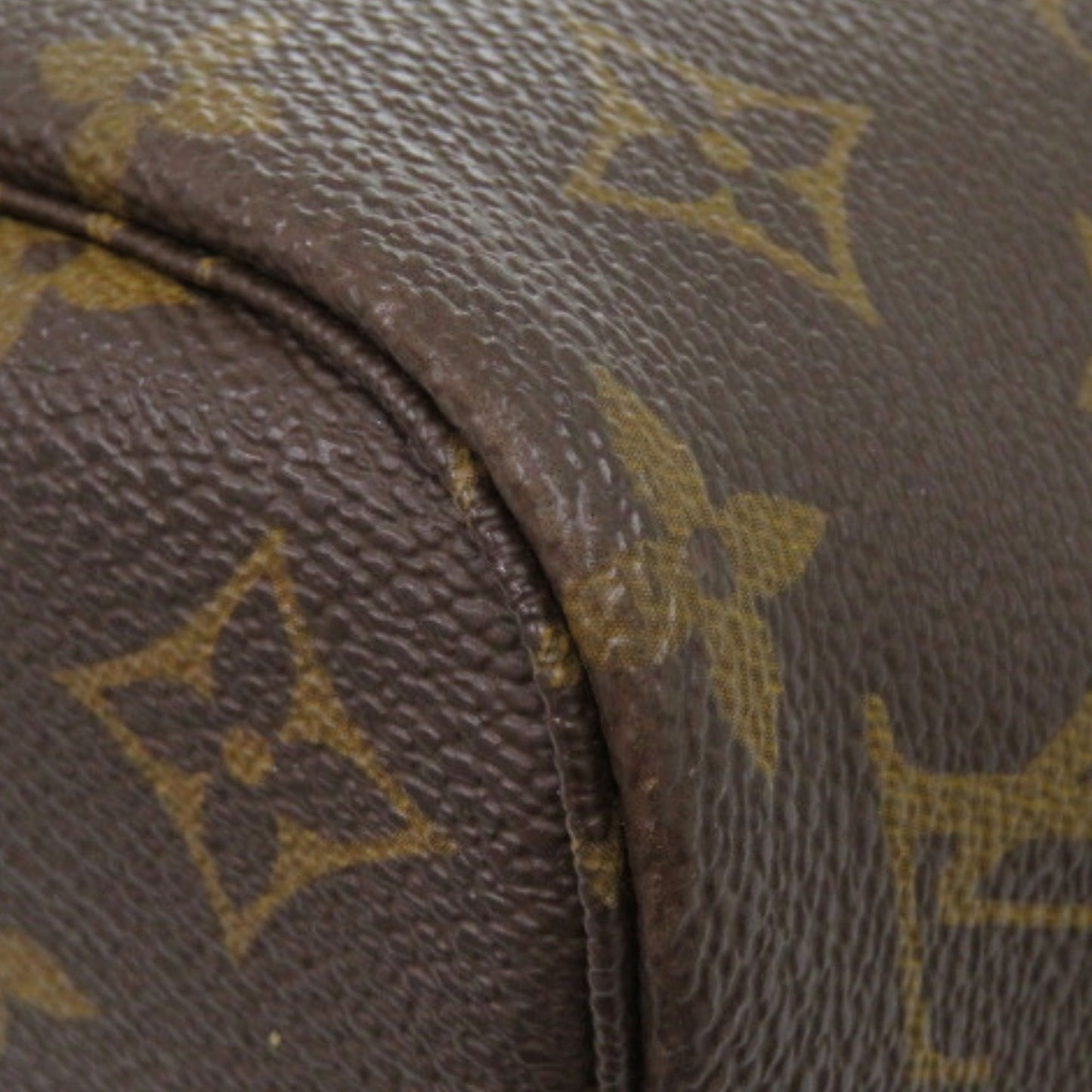 Louis Vuitton Monogram Neverfull PM