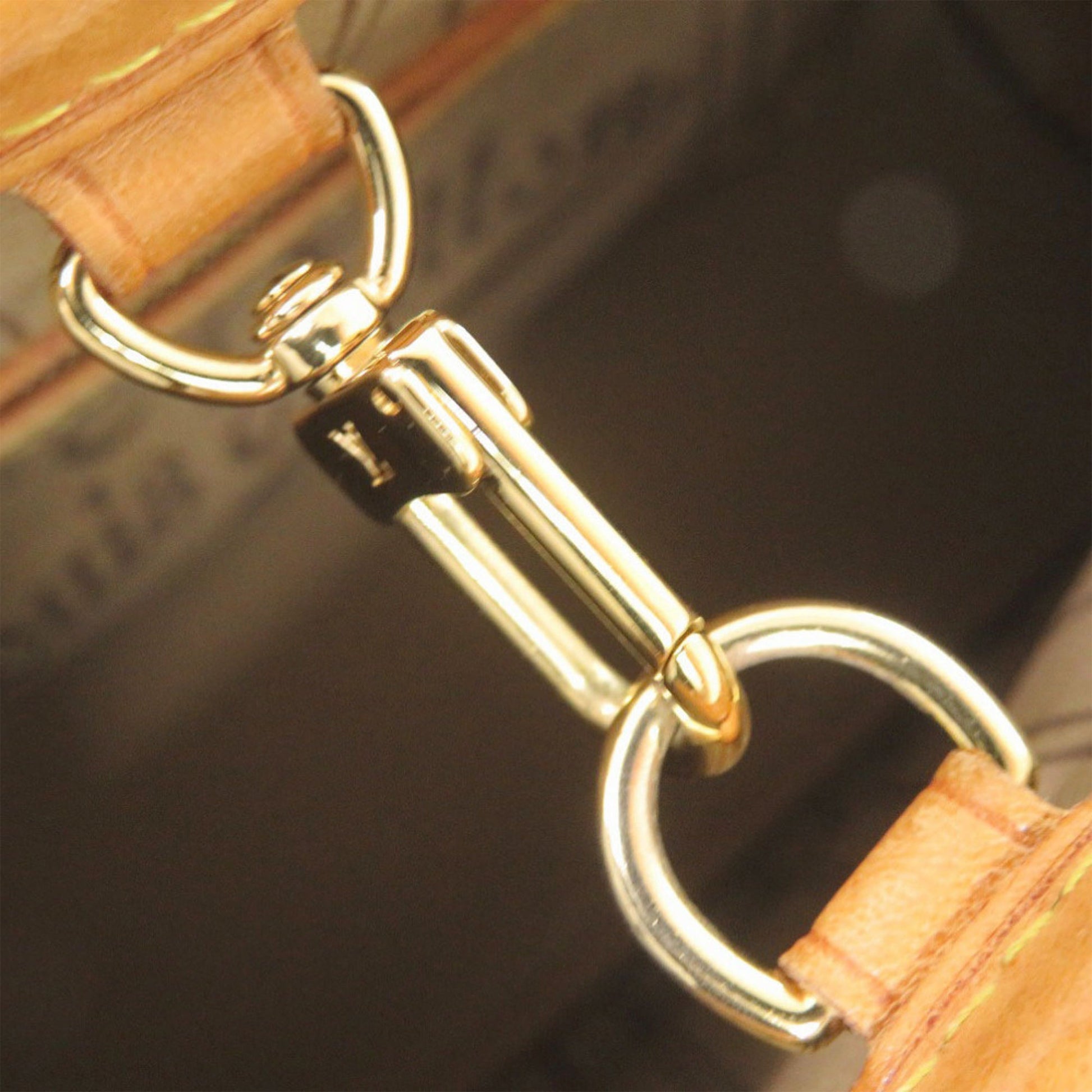 Louis Vuitton Monogram Neverfull PM
