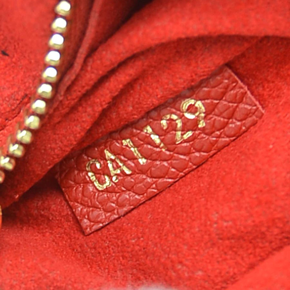 Louis Vuitton Monogram Saint Placide