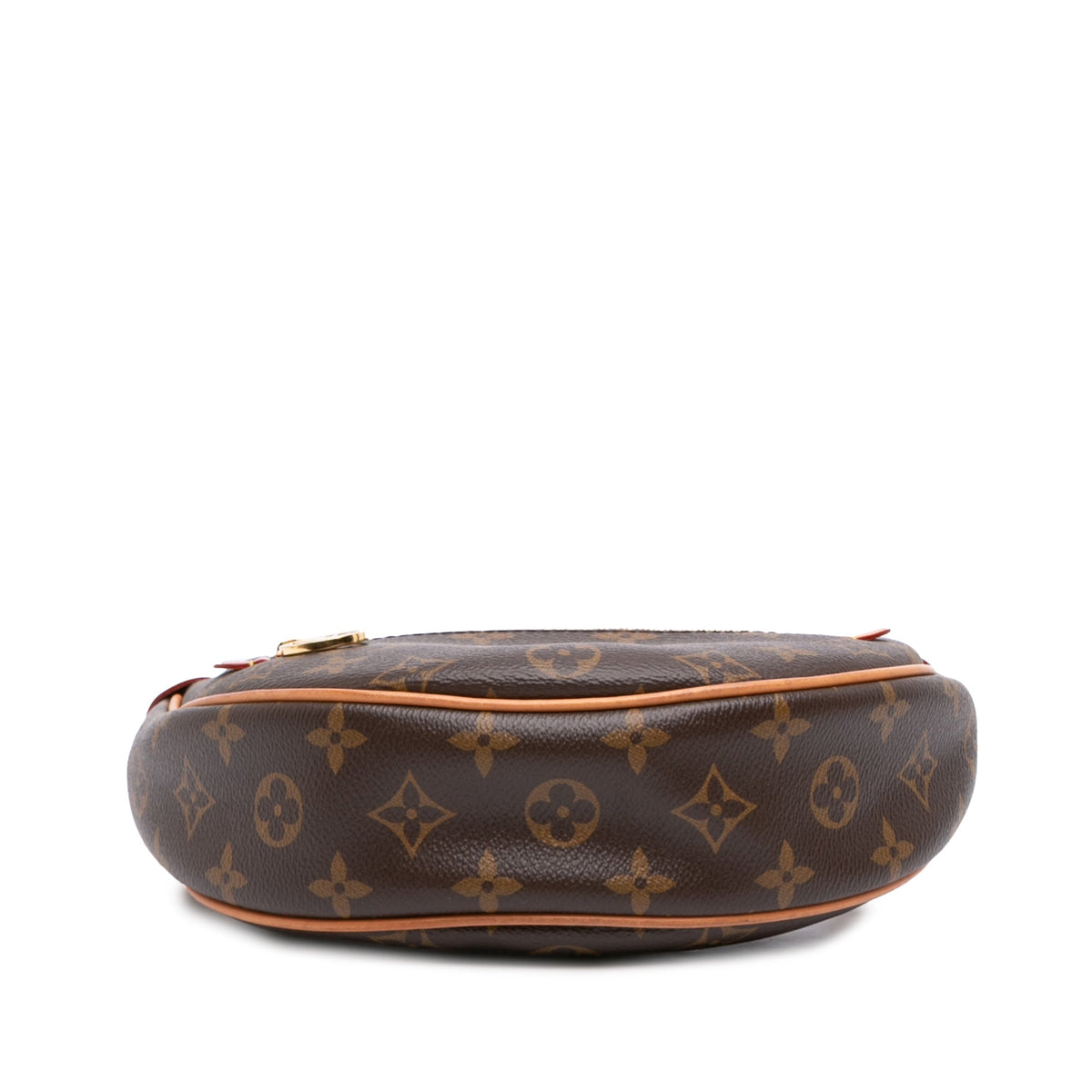 Louis Vuitton Monogram Loop