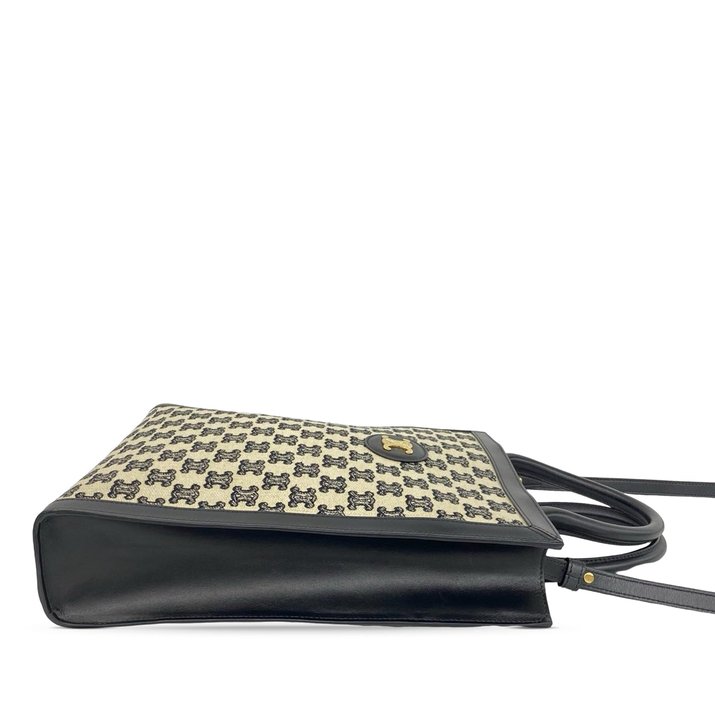 Celine Small Triomphe Canvas Vertical Cabas Tote