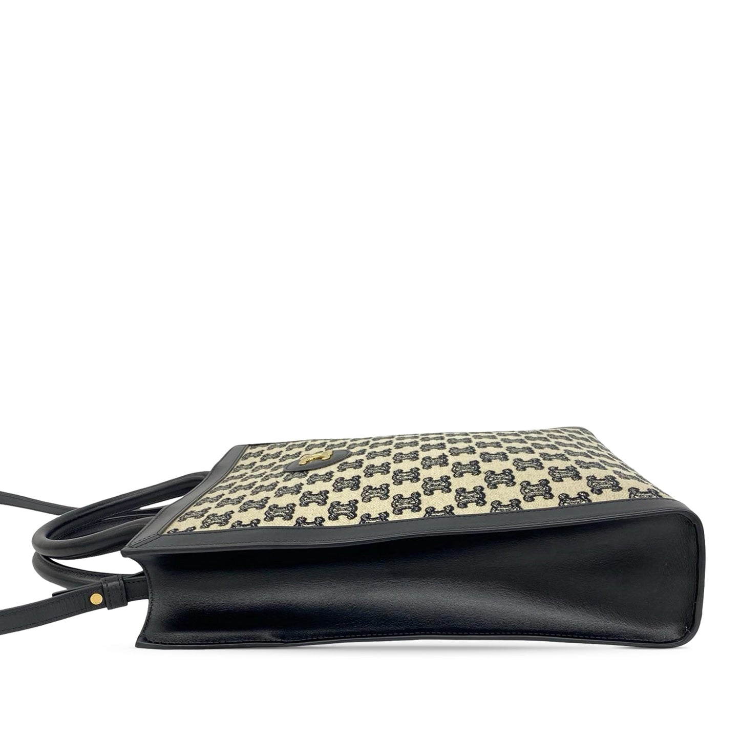 Celine Small Triomphe Canvas Vertical Cabas Tote