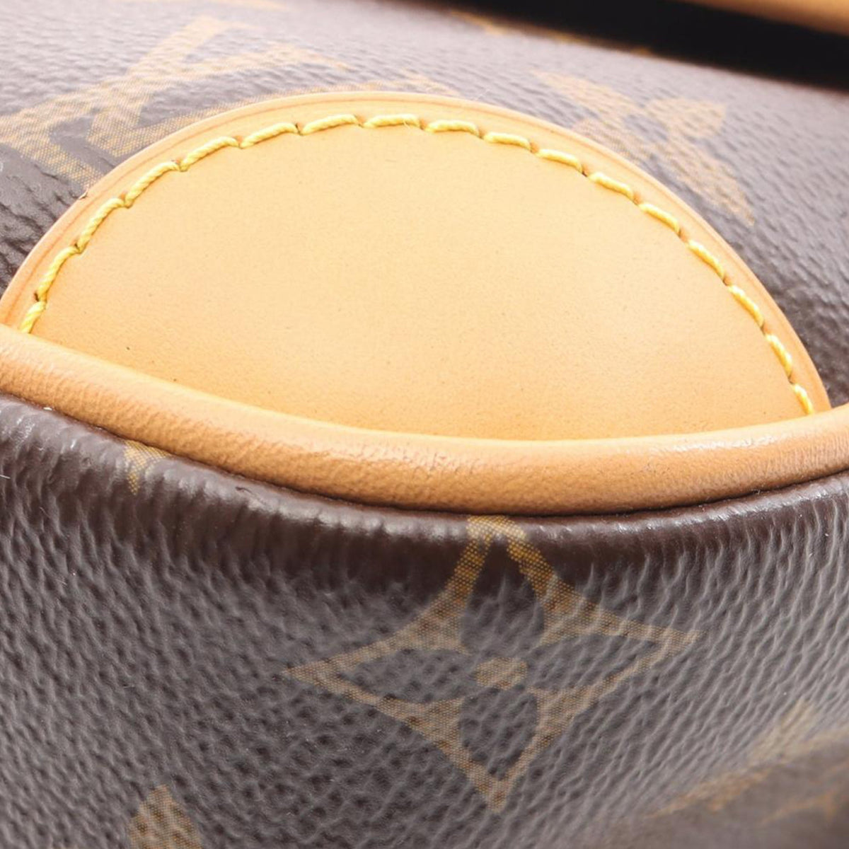 Louis Vuitton Monogram Diane