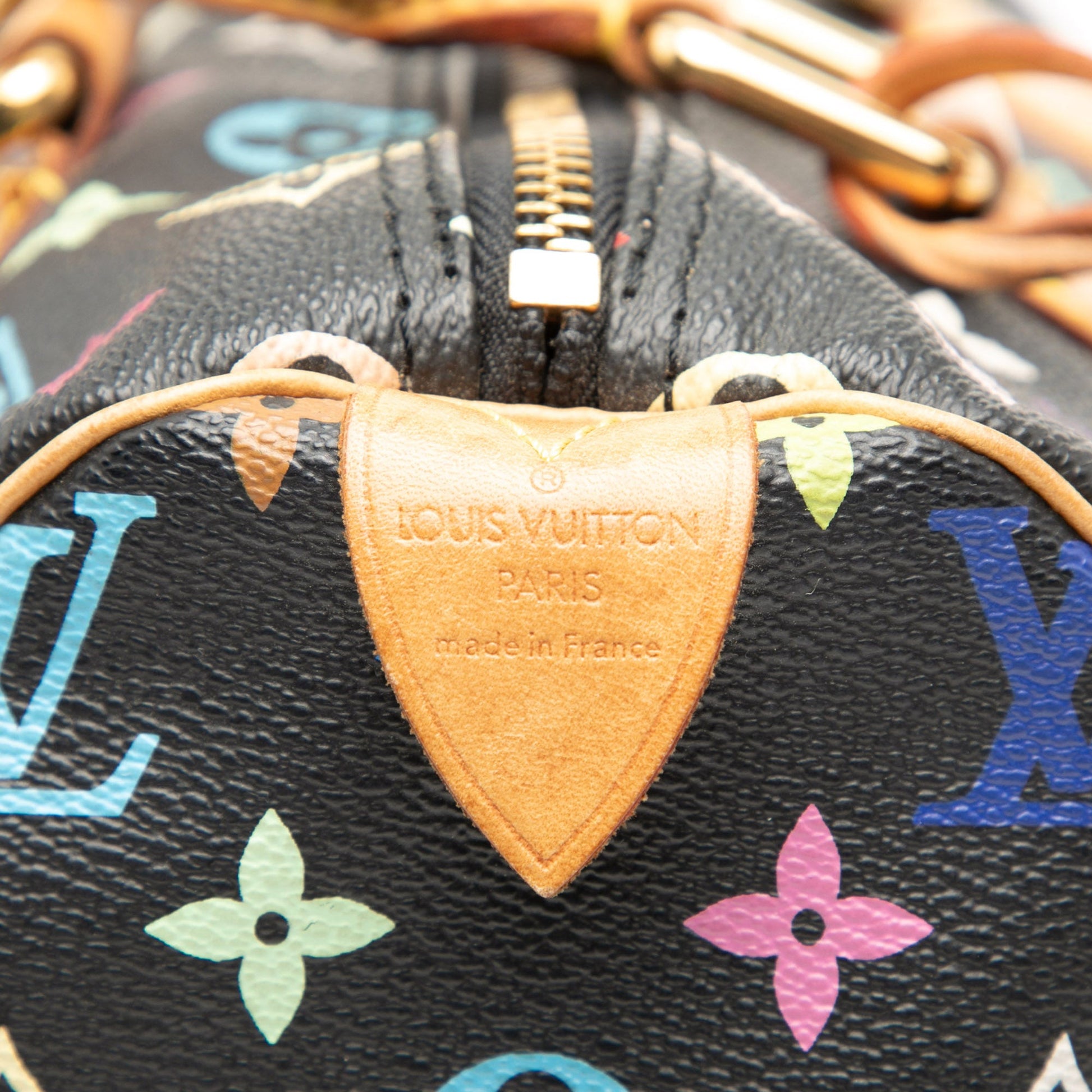 Monogram Multicolore Speedy 30