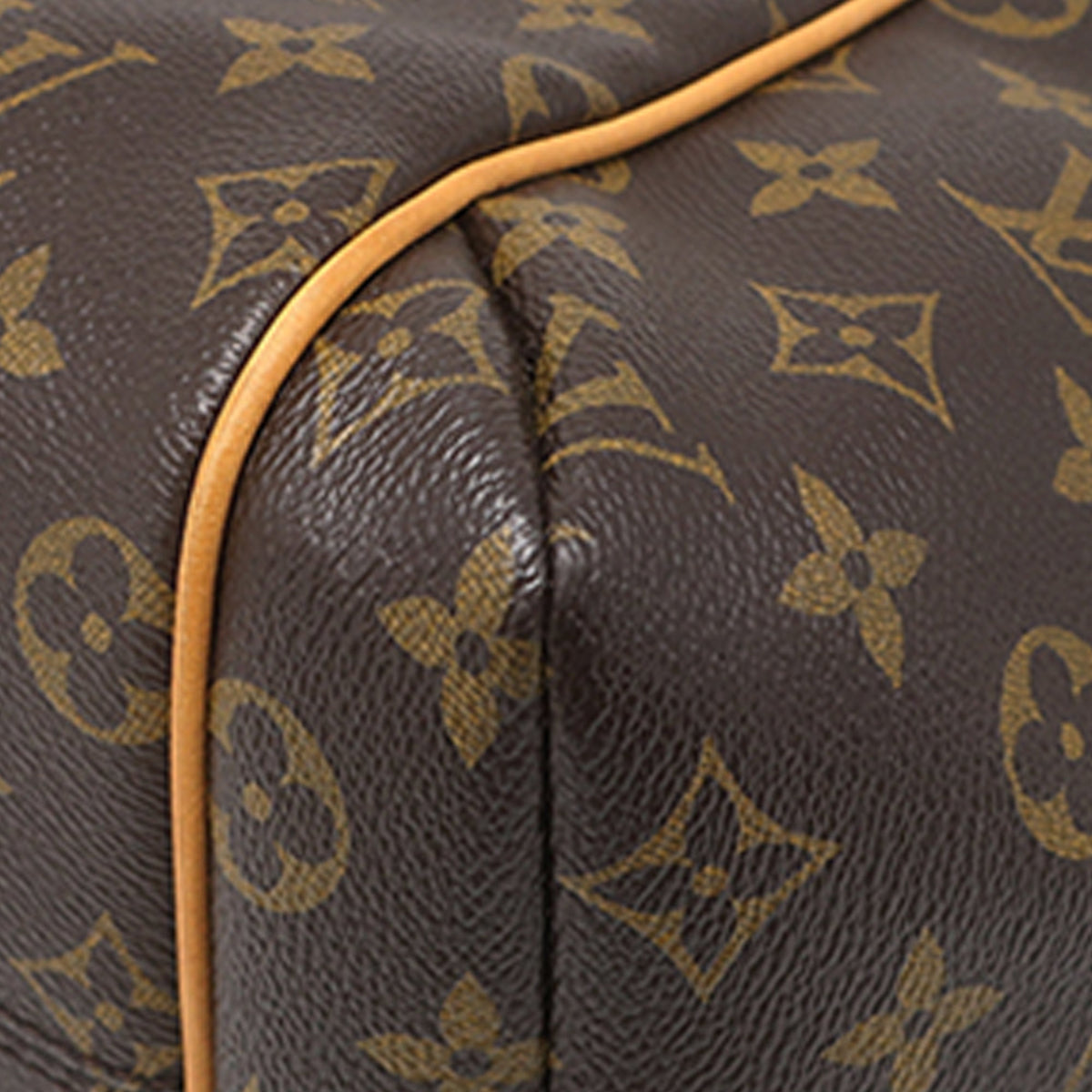 Louis Vuitton Monogram Totally PM