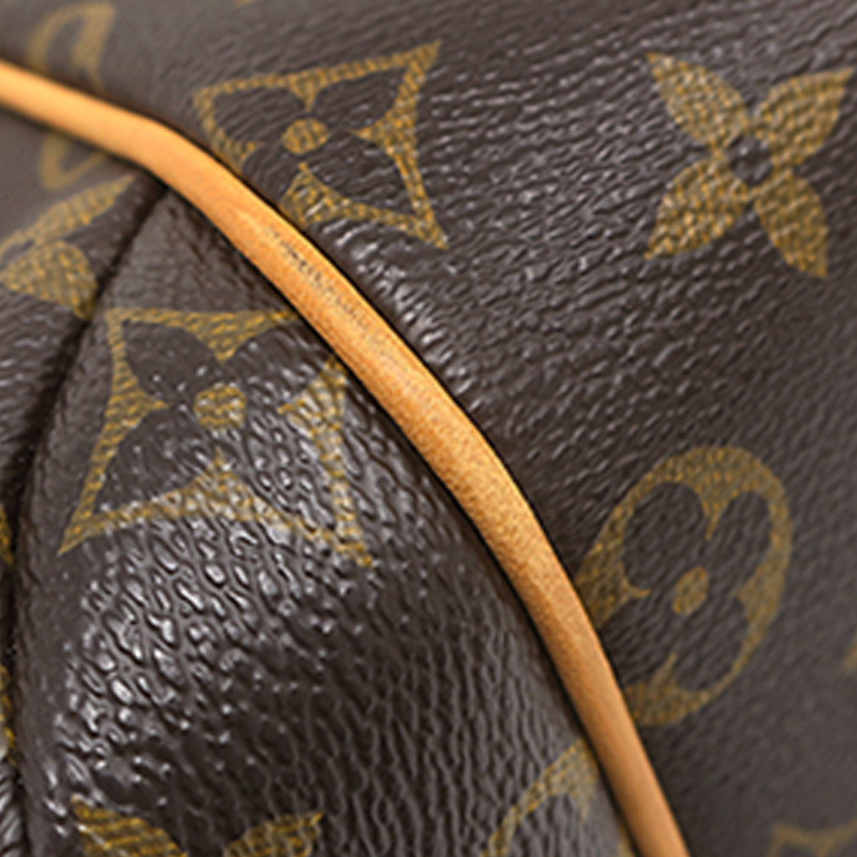 Louis Vuitton Monogram Totally PM