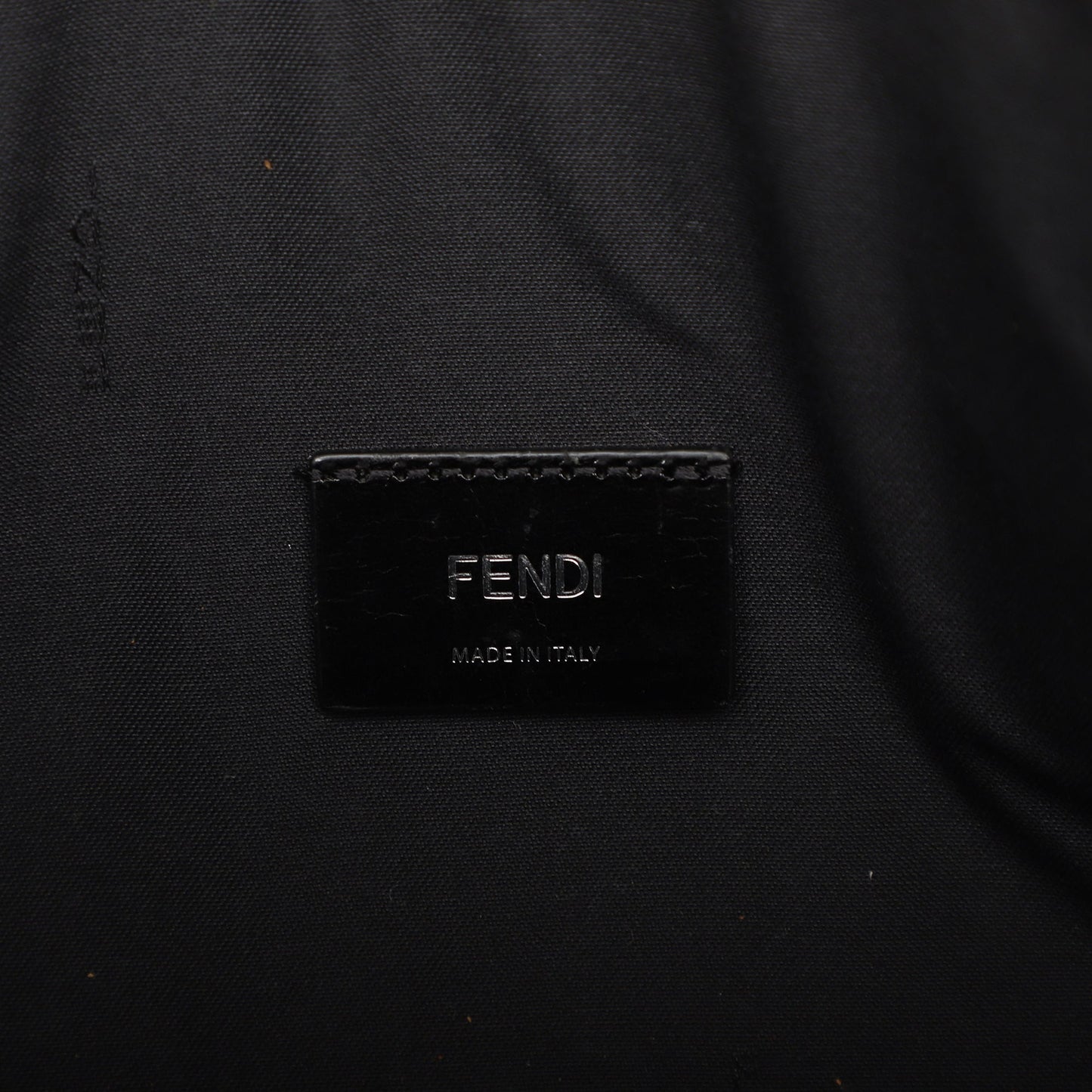Fendi Sarah Coleman Leather Fisheye Belt Bag