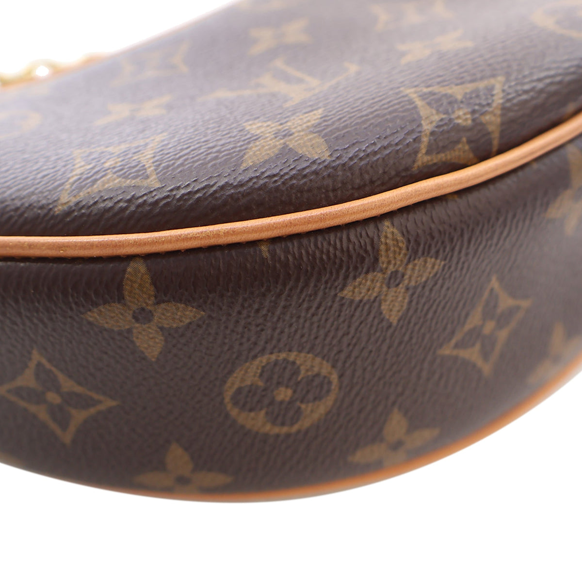 Louis Vuitton Monogram Loop