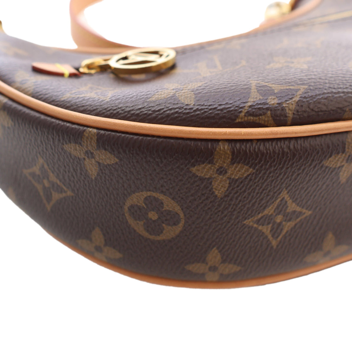 Louis Vuitton Monogram Loop