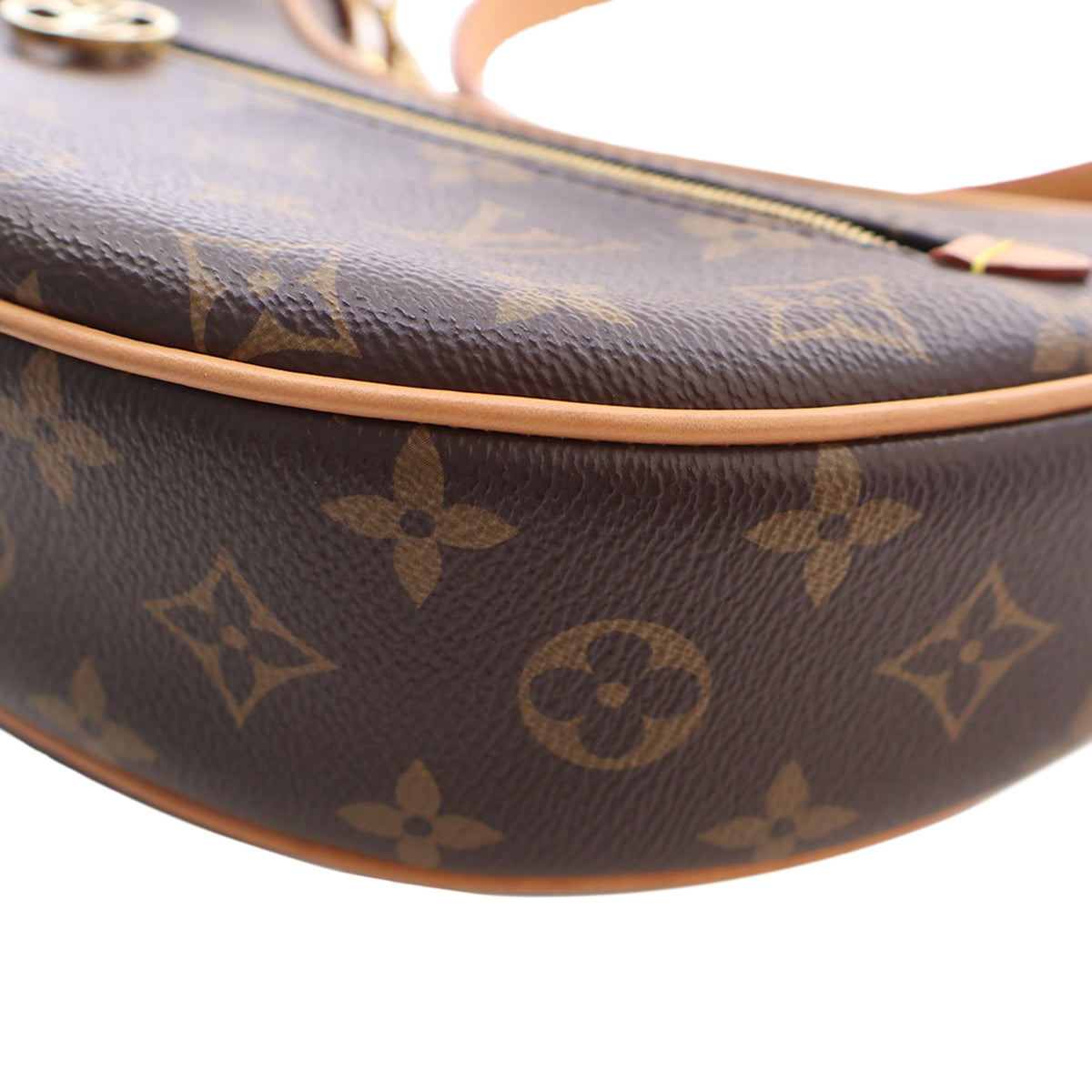 Louis Vuitton Monogram Loop