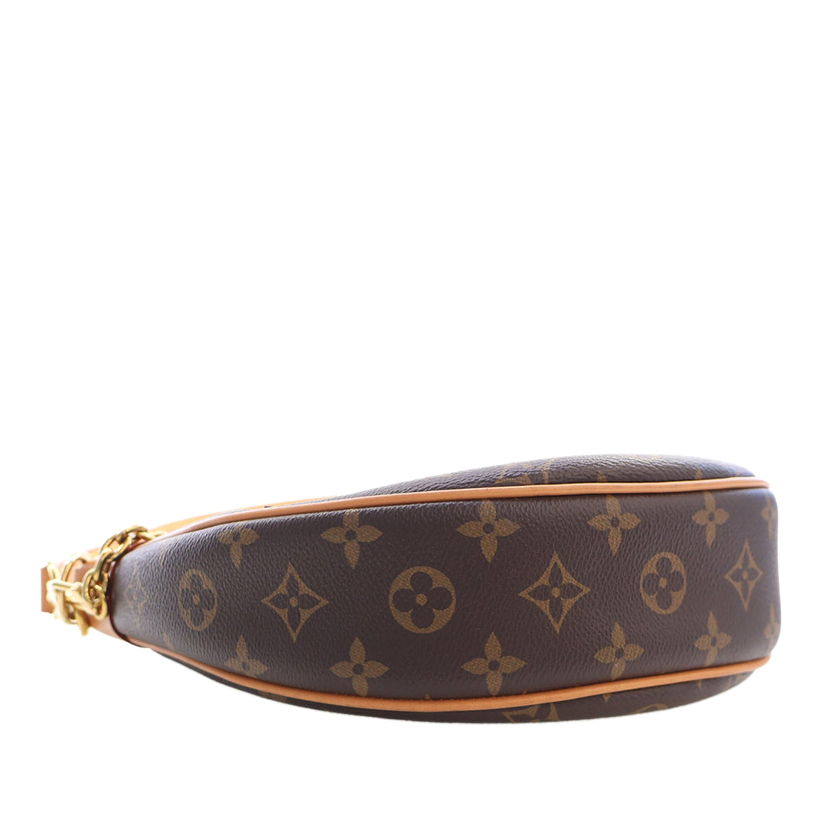 Louis Vuitton Monogram Loop