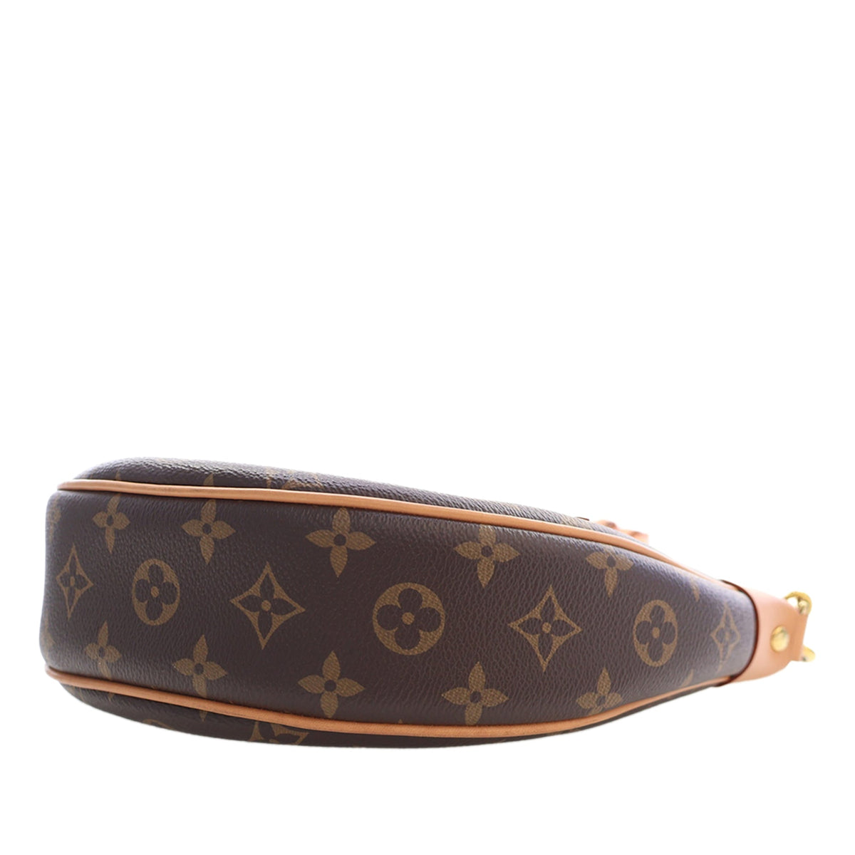 Louis Vuitton Monogram Loop