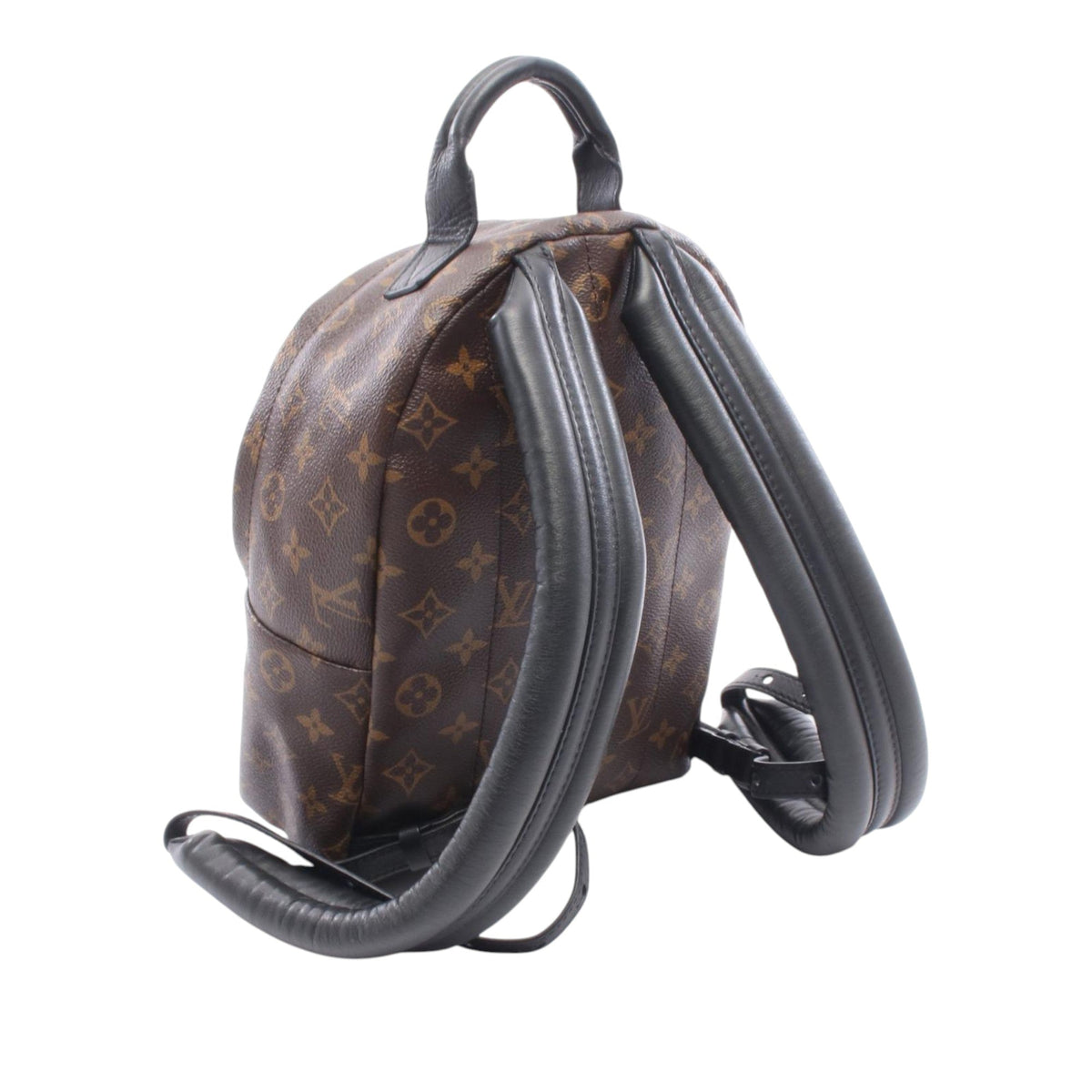Louis Vuitton Monogram Palm Springs PM
