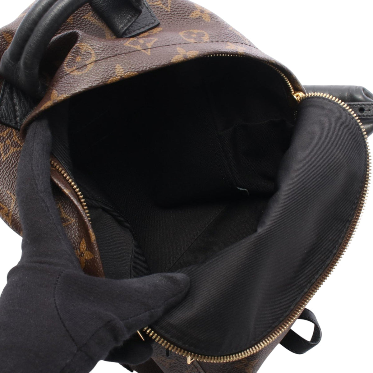 Louis Vuitton Monogram Palm Springs PM