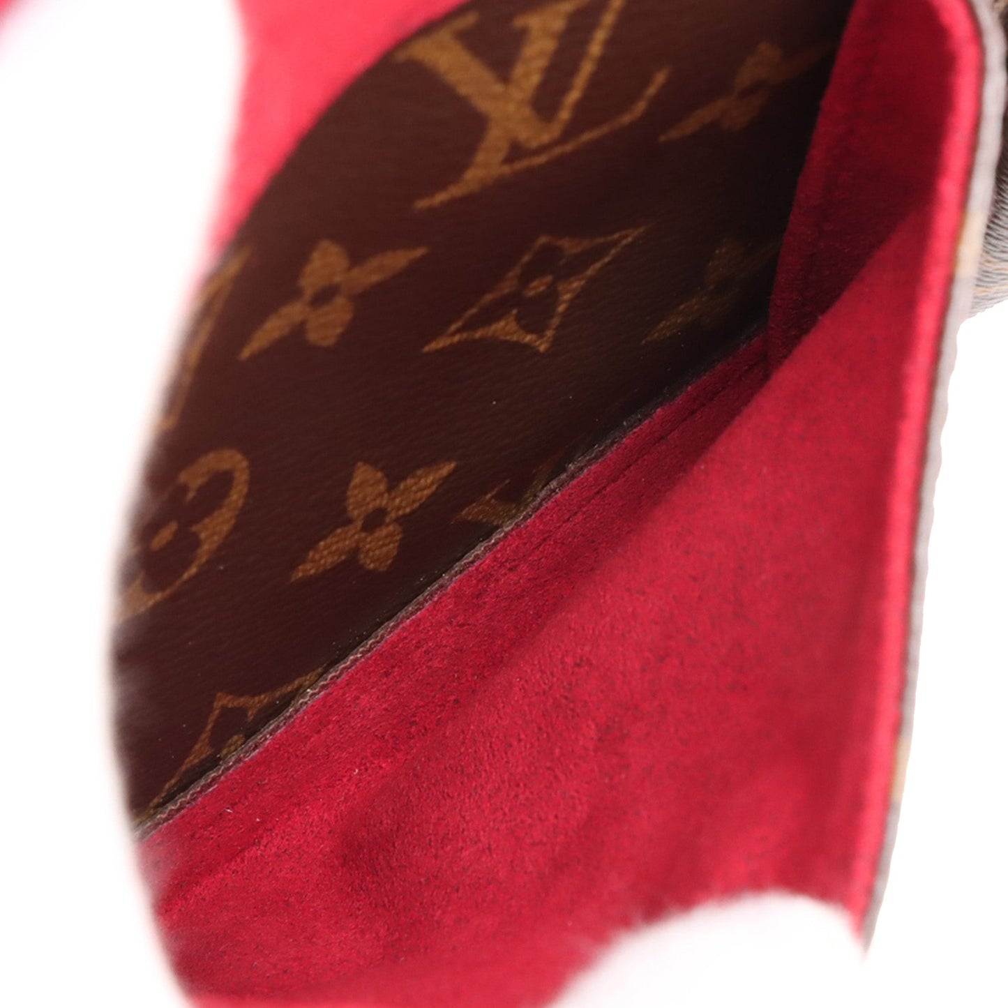 Louis Vuitton Monogram Viva Cite MM