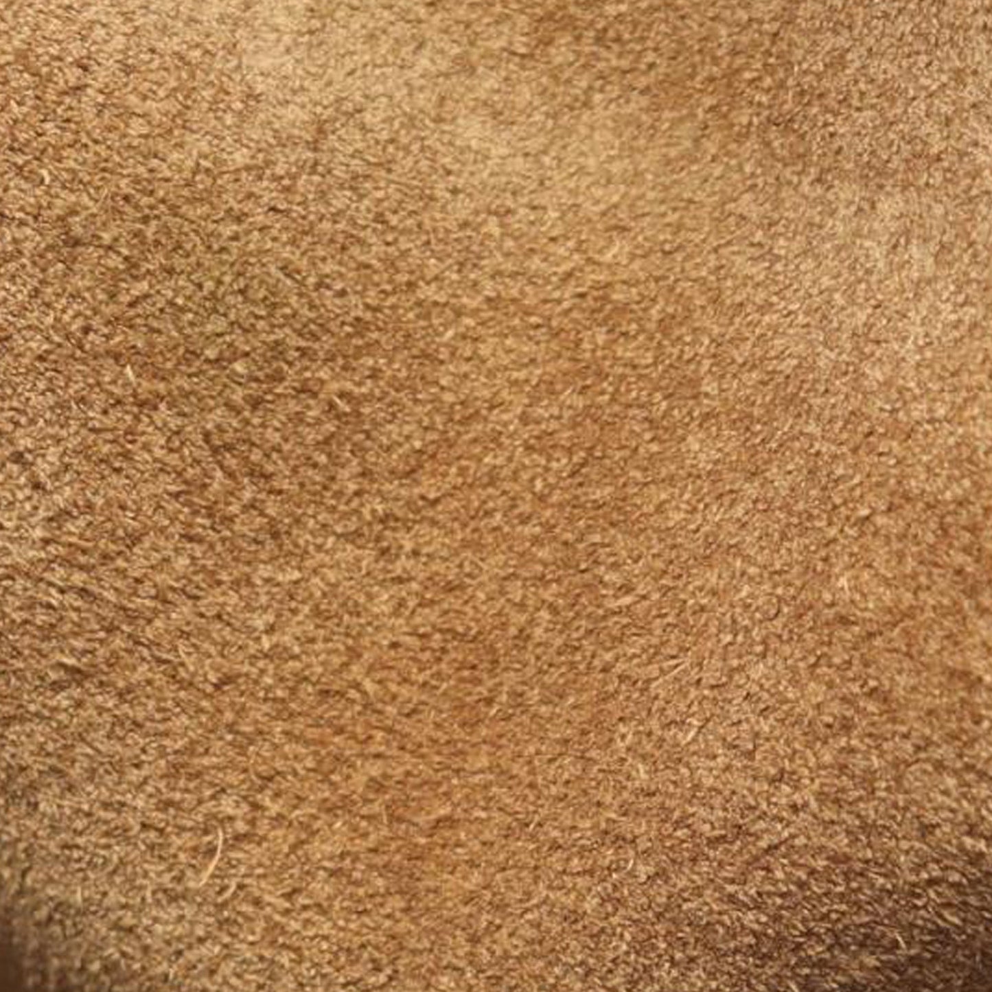 LOEWE Leather Amazona 23