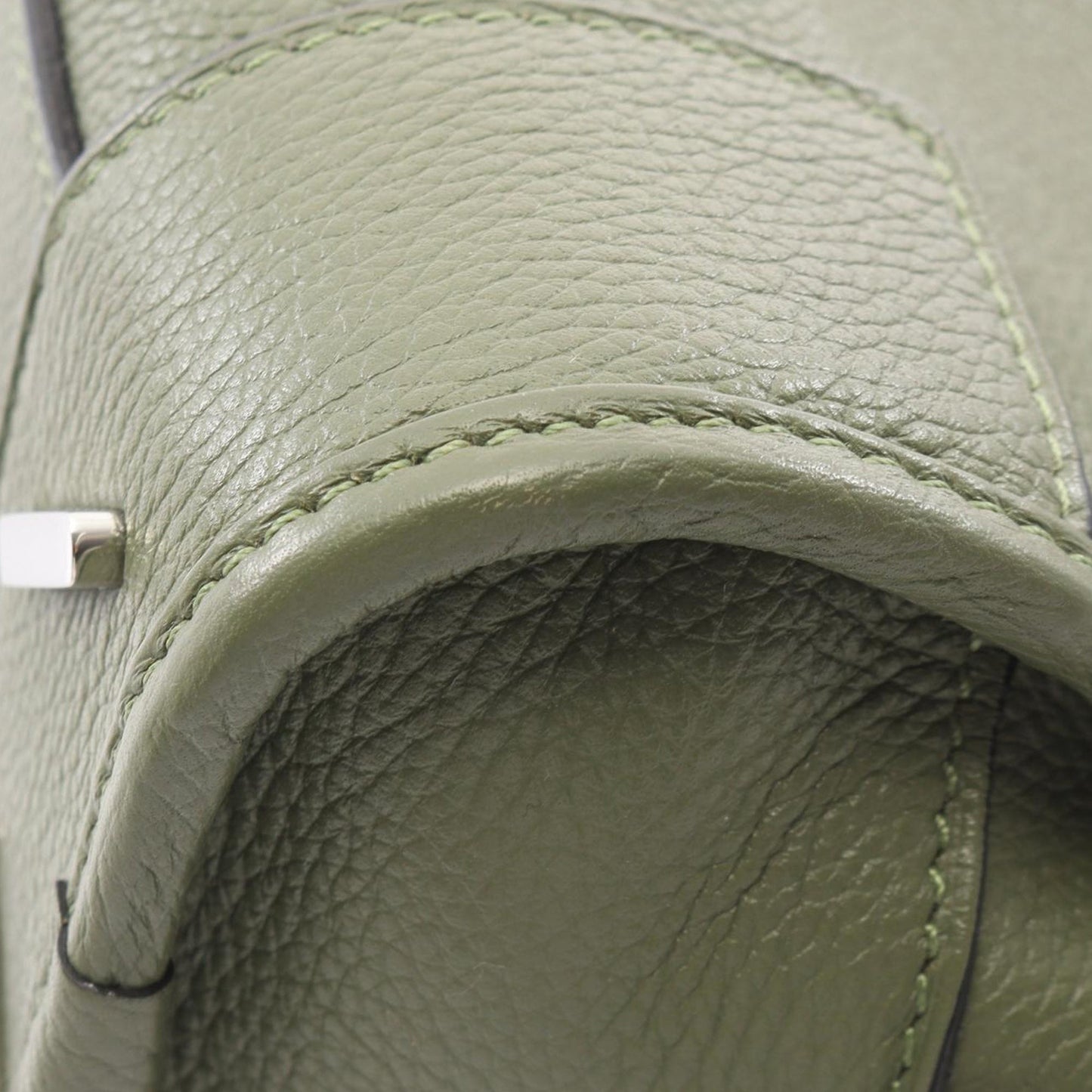 LOEWE Leather Amazona 23
