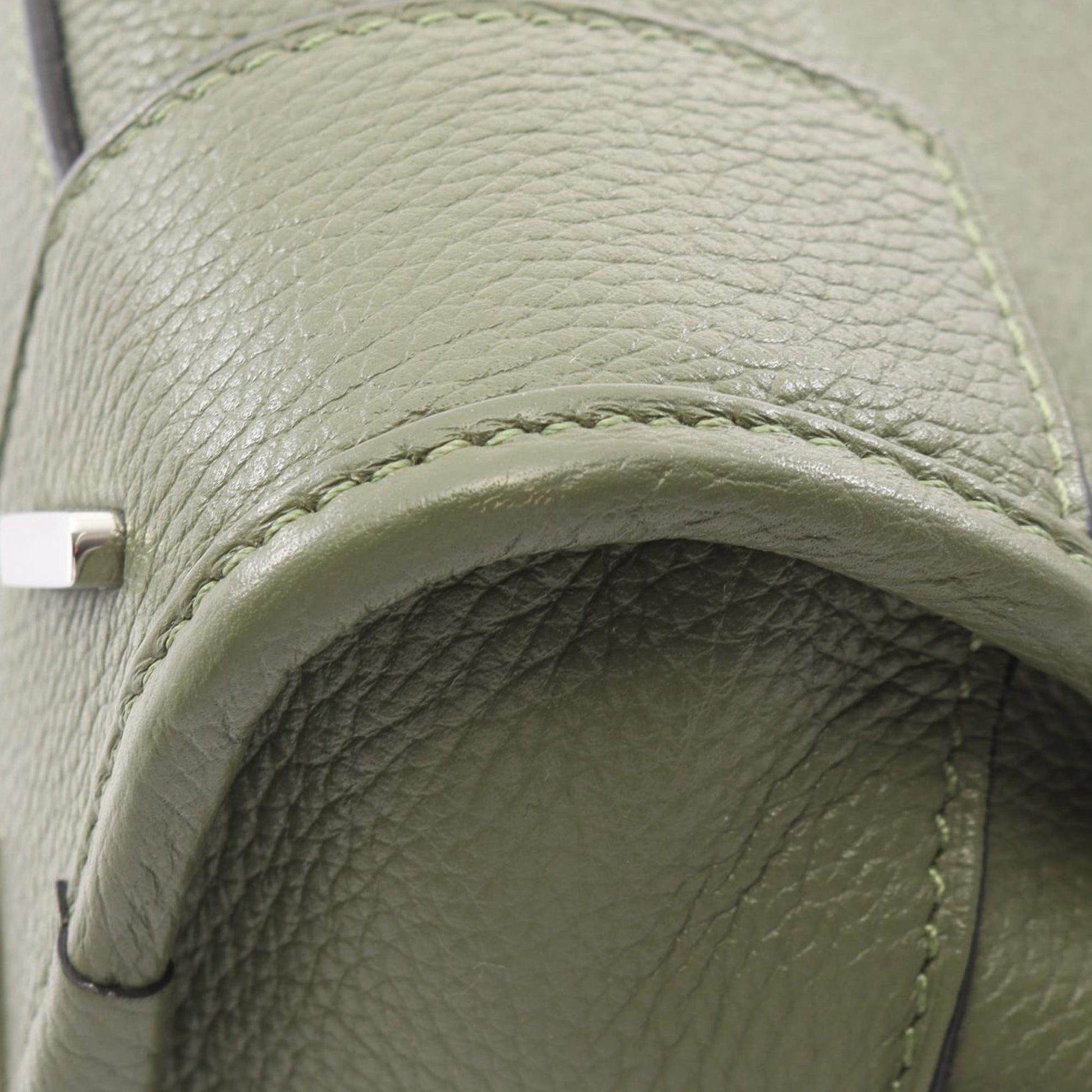 LOEWE Leather Amazona 23
