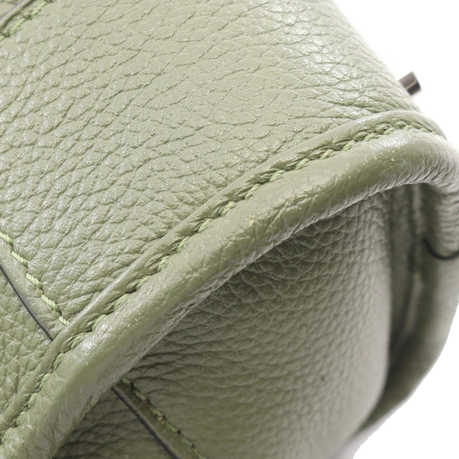 LOEWE Leather Amazona 23