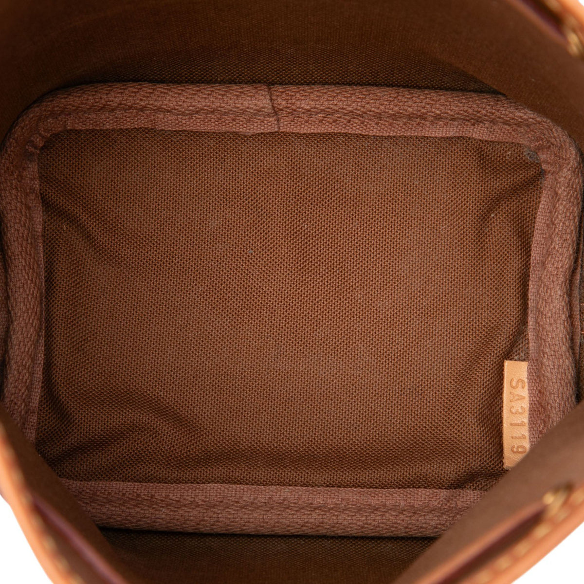 Louis Vuitton Monogram Nano Noe