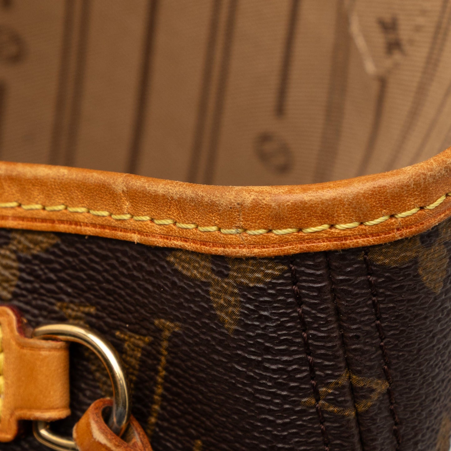 Louis Vuitton Monogram Neverfull PM