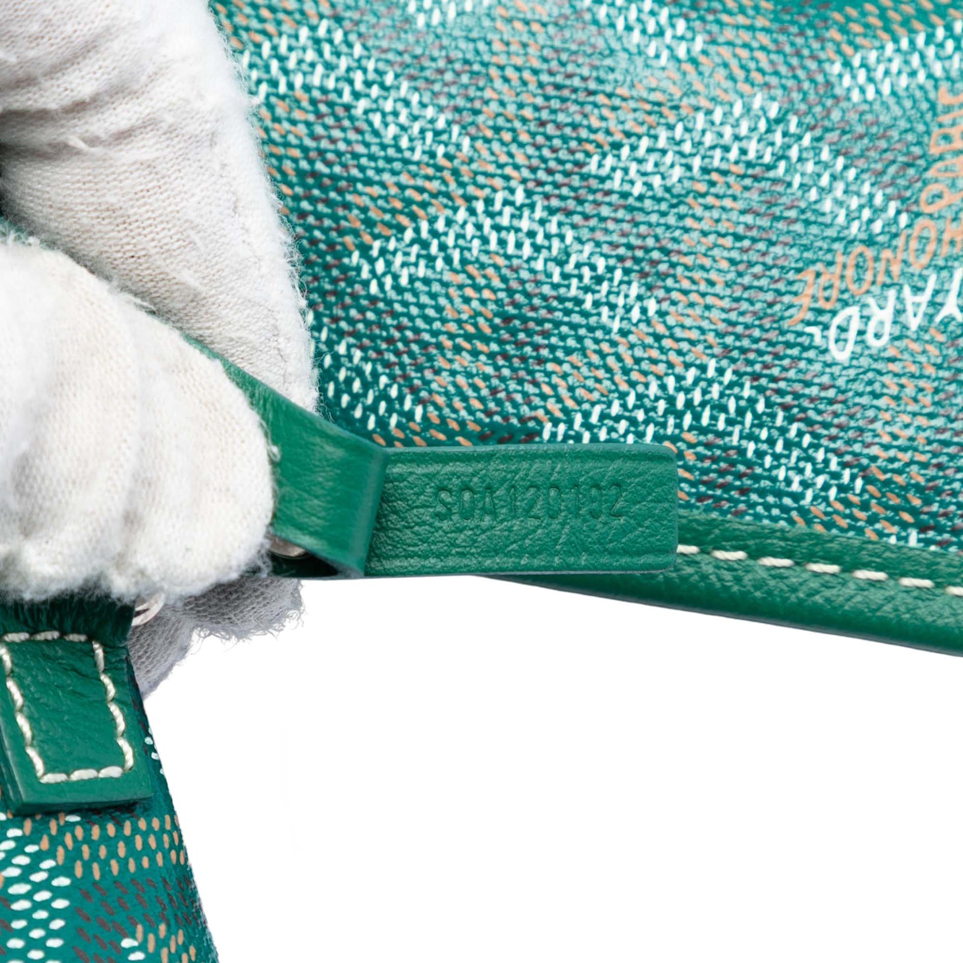 Goyard Goyardine Saint Louis PM