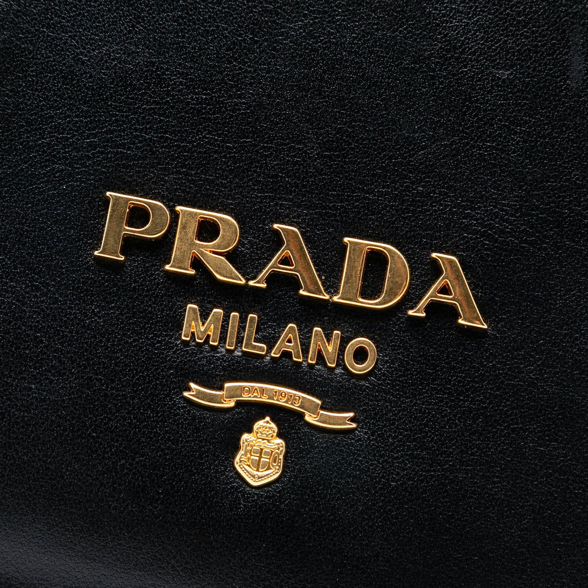 Prada City Calf Pionniere Saddle Bag
