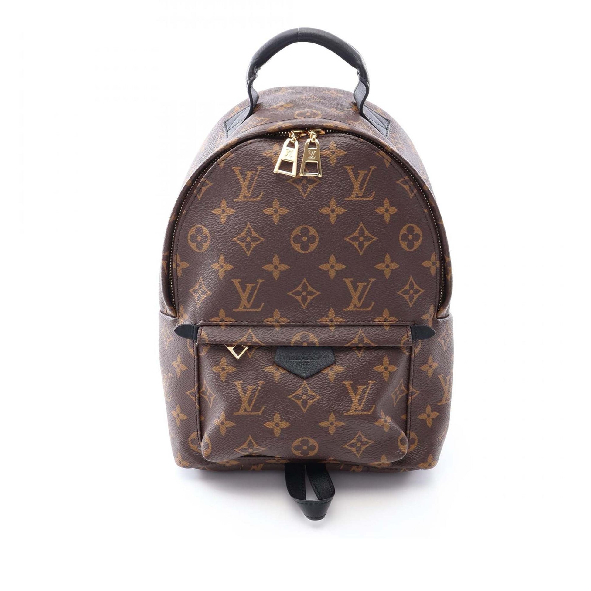 Louis Vuitton Monogram Palm Springs PM
