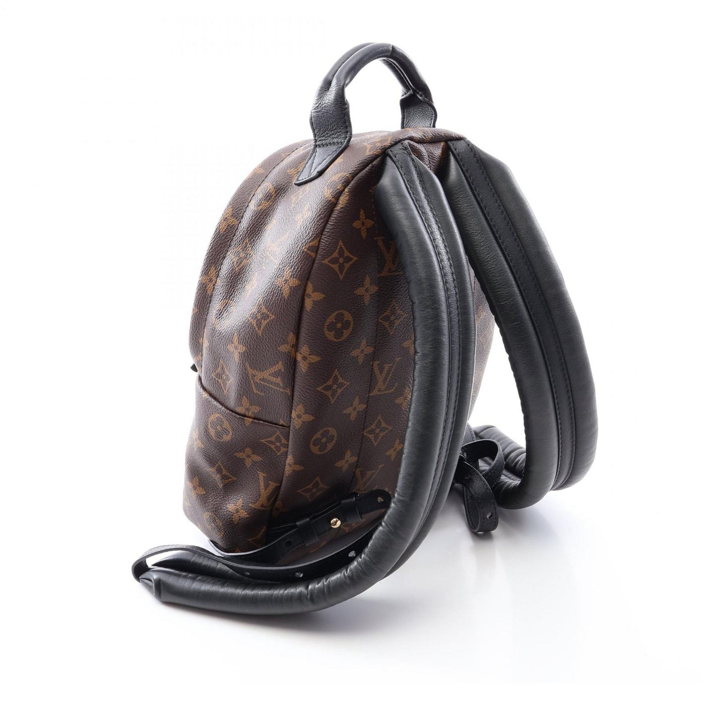 Louis Vuitton Monogram Palm Springs PM