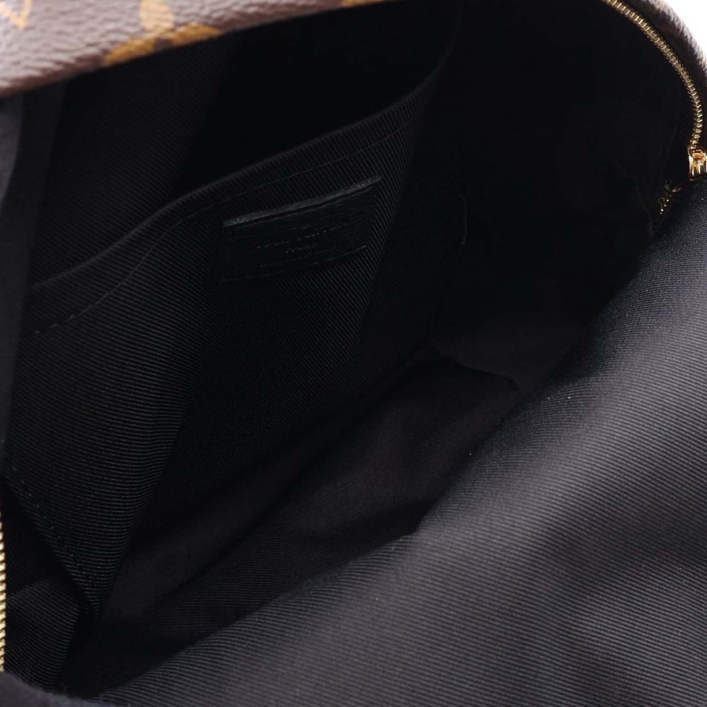 Louis Vuitton Monogram Palm Springs PM