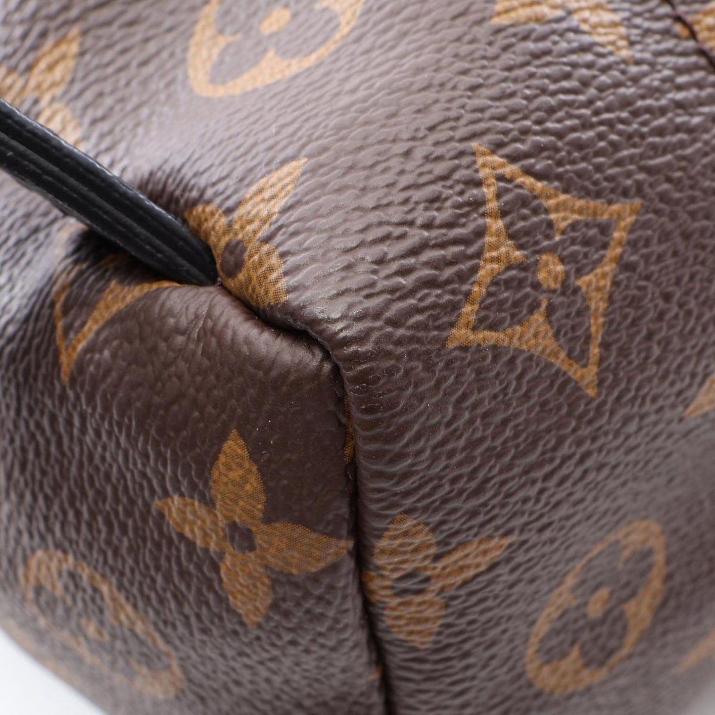 Louis Vuitton Monogram Palm Springs PM