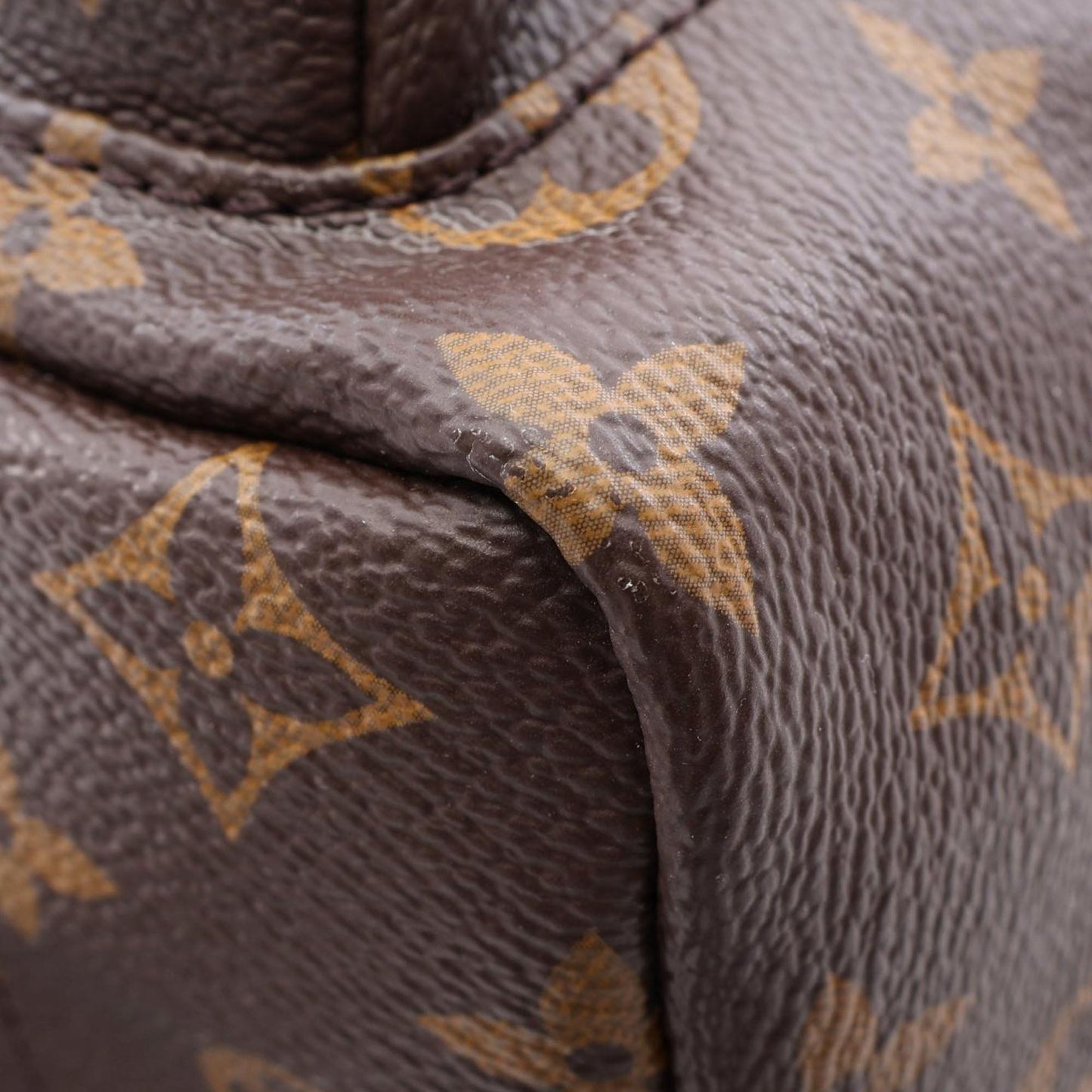 Louis Vuitton Monogram Palm Springs PM