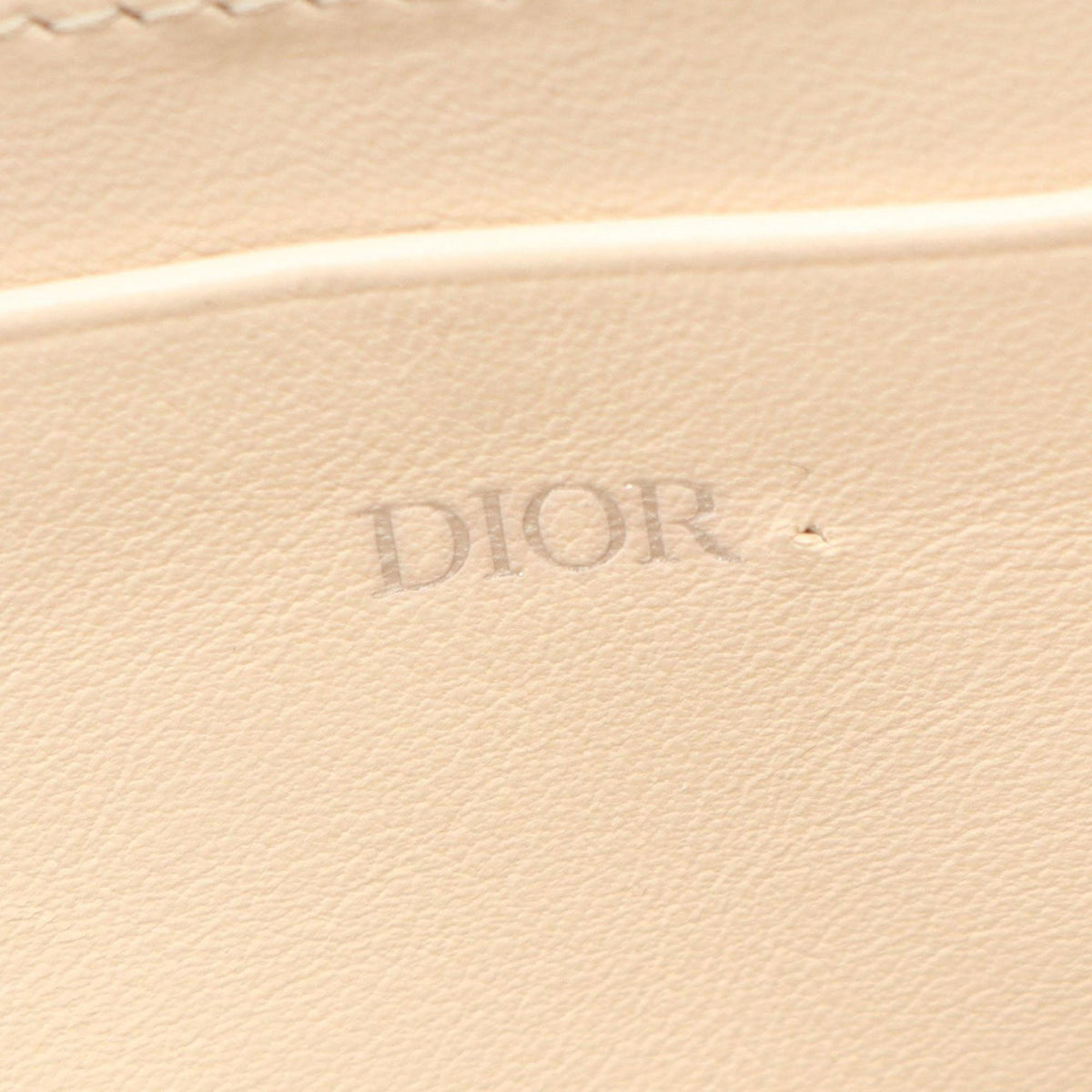 Dior CD Diamond Coated Canvas Zipped Pouch with Strap