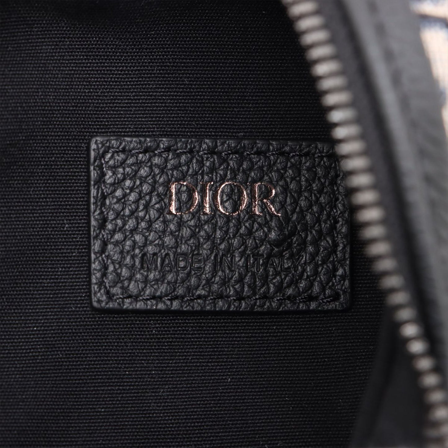 Dior Oblique Canvas Scarab Crossbody