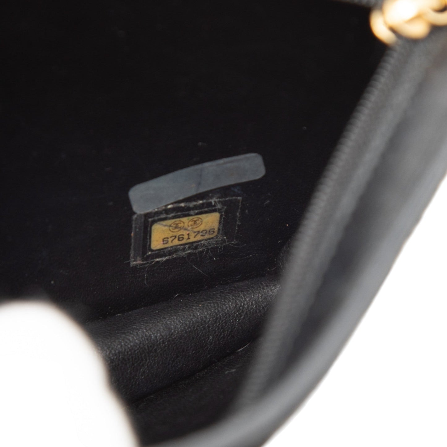 Chanel Coco Pony Hair Clutch
