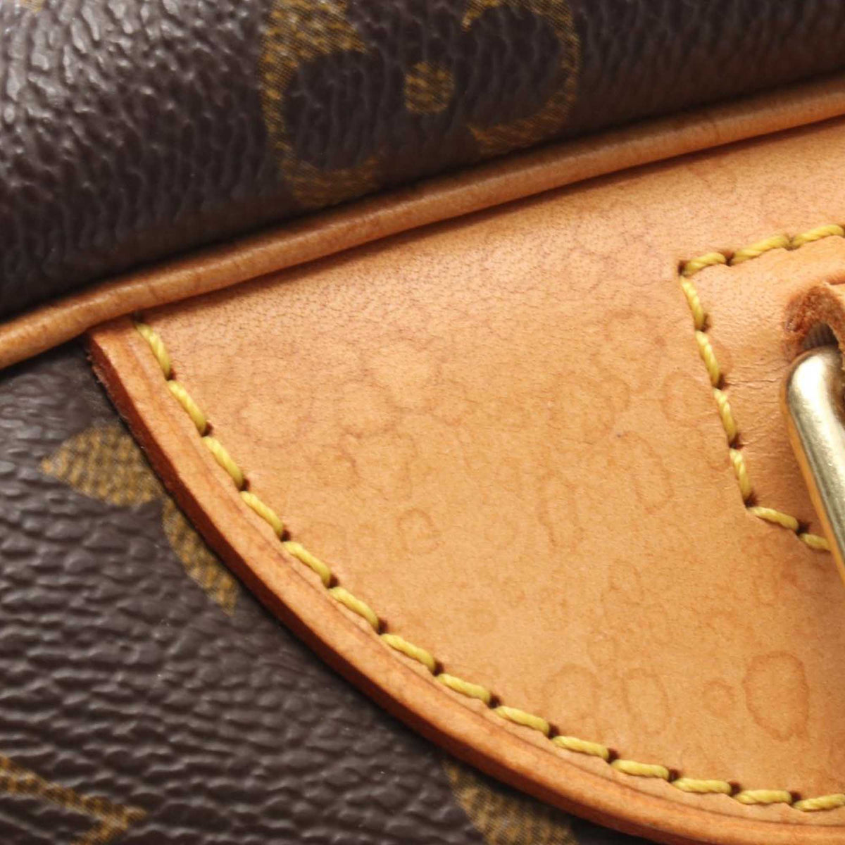 Louis Vuitton Monogram Deauville