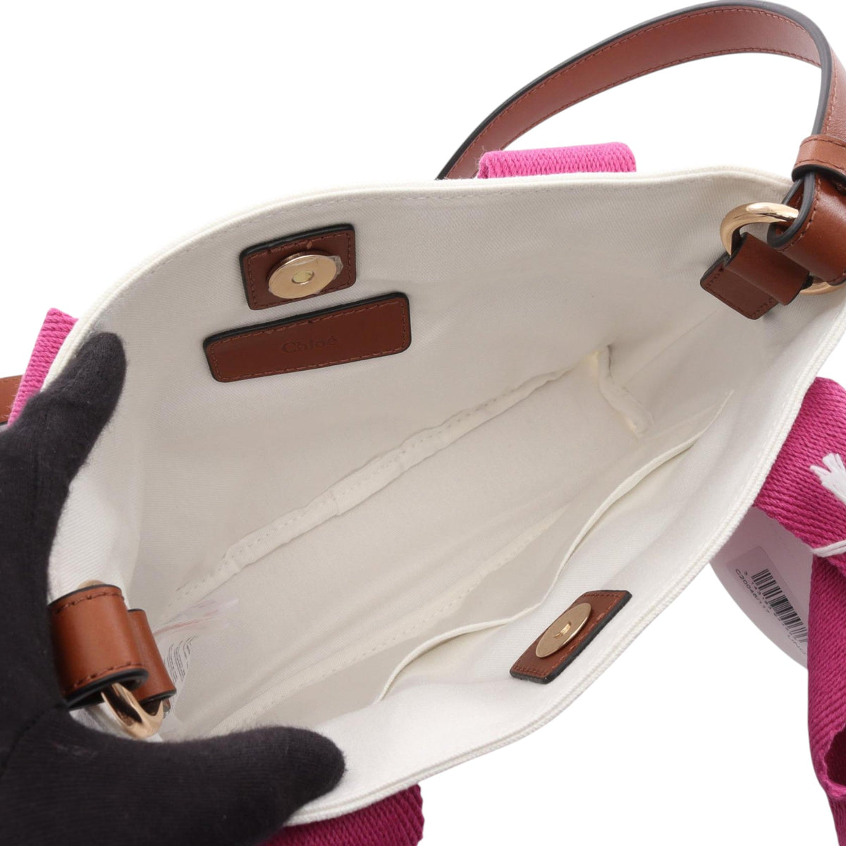 Chloé Canvas Logo Satchel