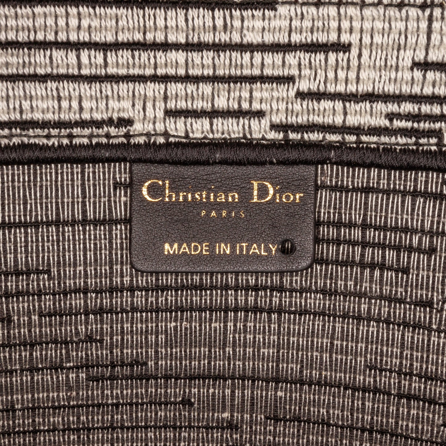 Dior Large French Flag Book Tote