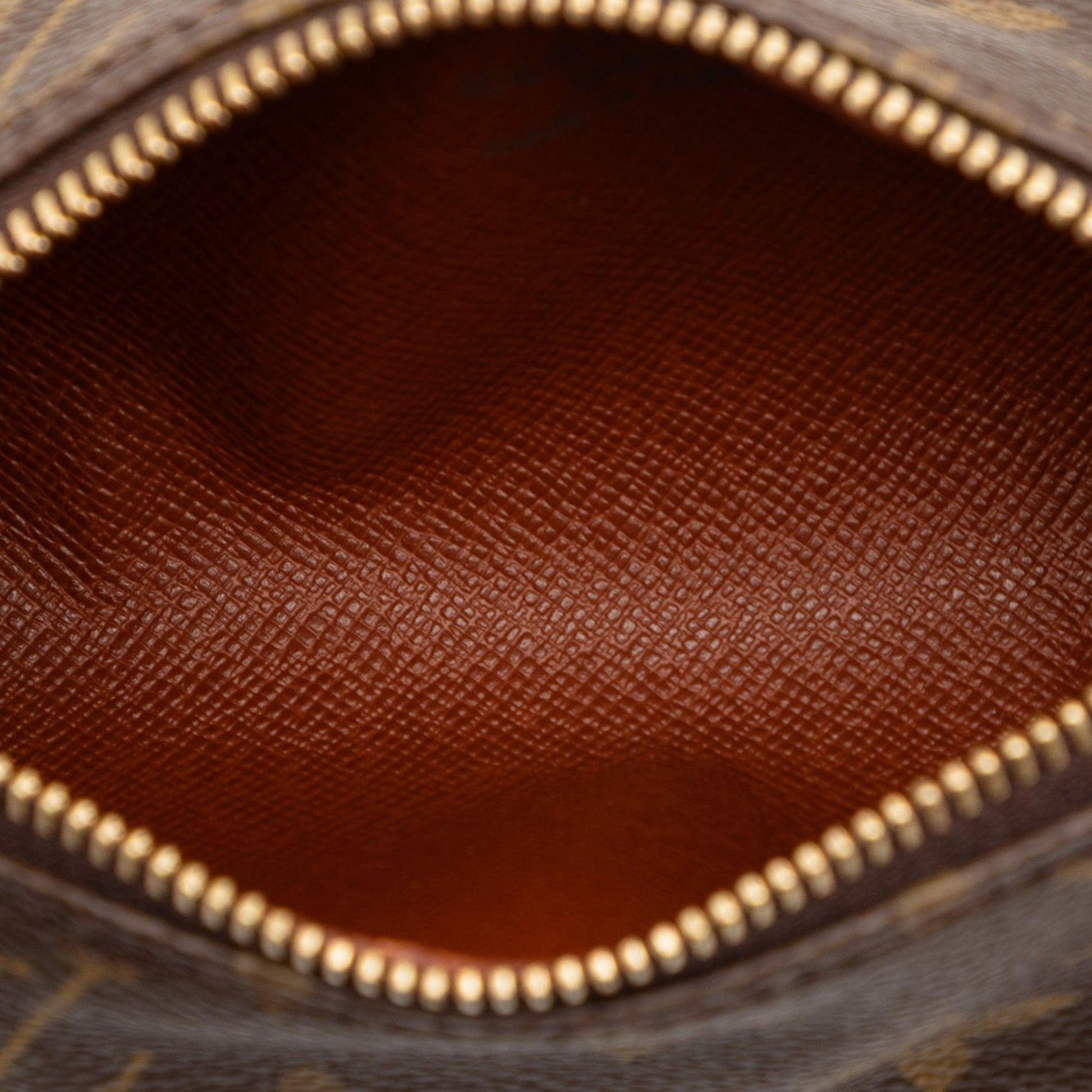 Louis Vuitton Monogram Papillon Pochette