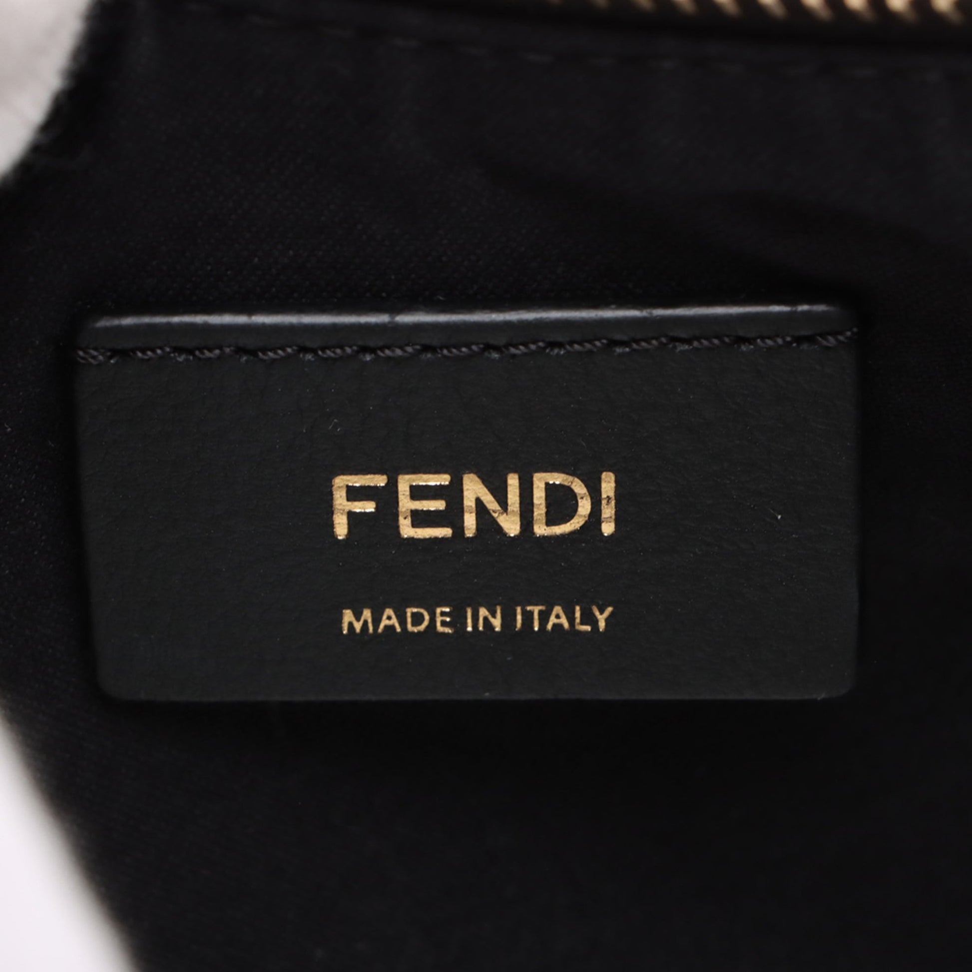 Fendi Mini Leather Fendigraphy Hobo