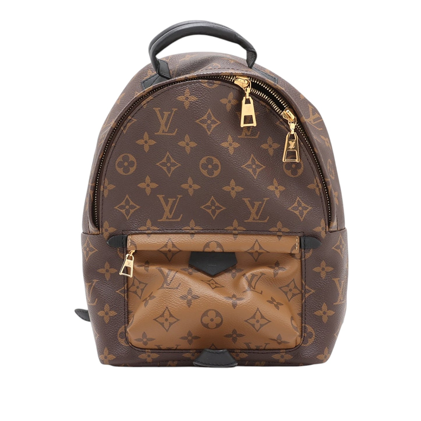 Louis Vuitton Monogram Reverse Palm Springs PM